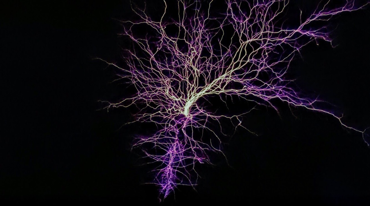 Electricity coming from a Tesla coil. Photo courtesy of Scott Tobin