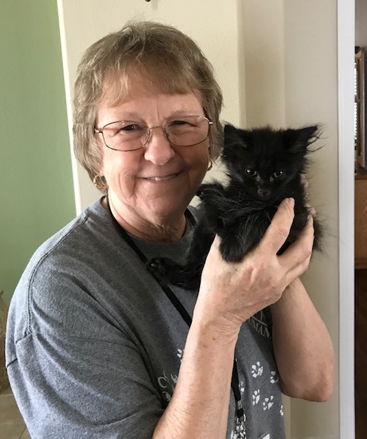 Jan Wenger with a foster kitten. Photo courtesy of Jan Wenger