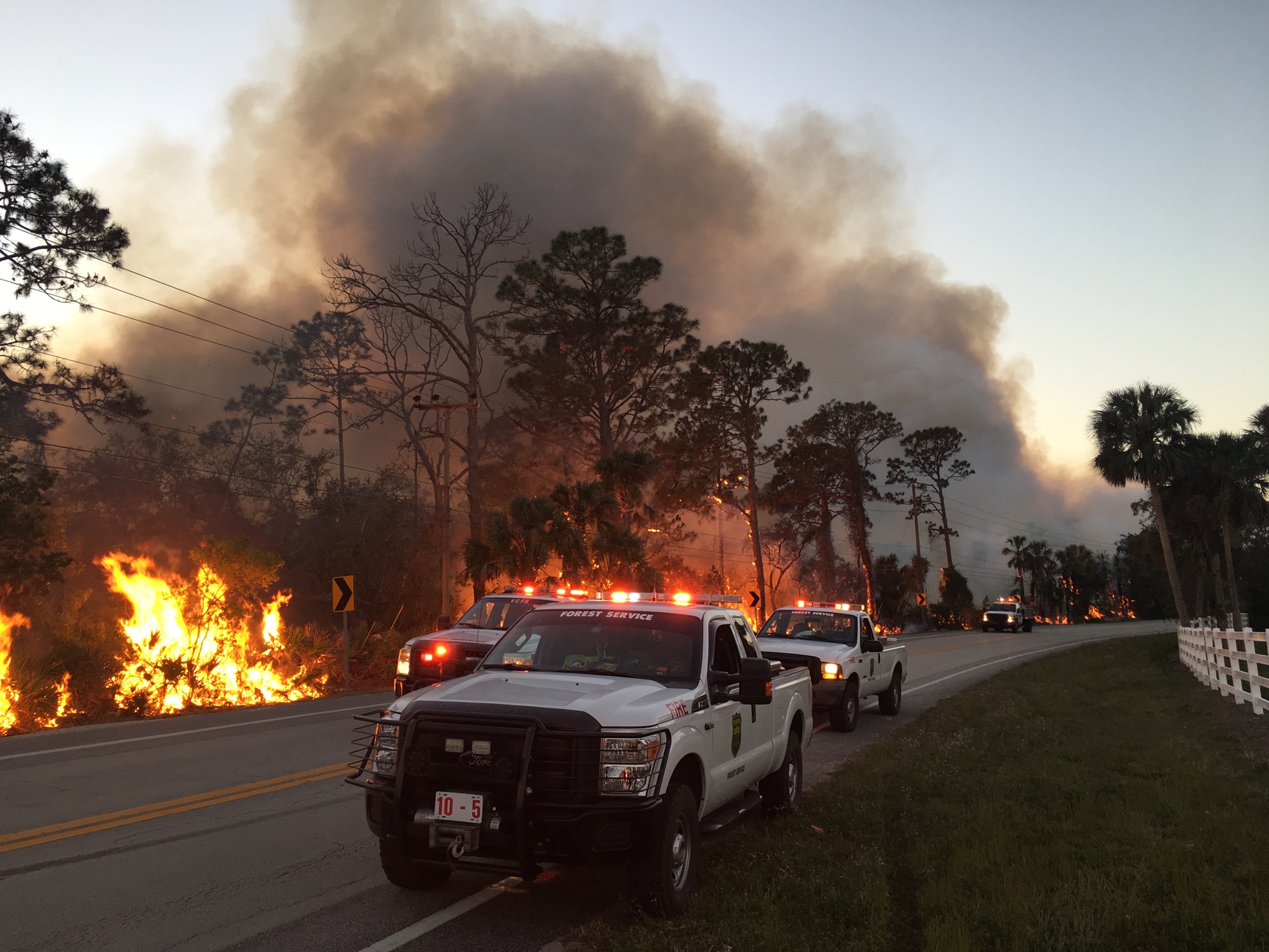 Crews battle a fire that covered 204 acres. Photo courtesy of Florida Forest Service
