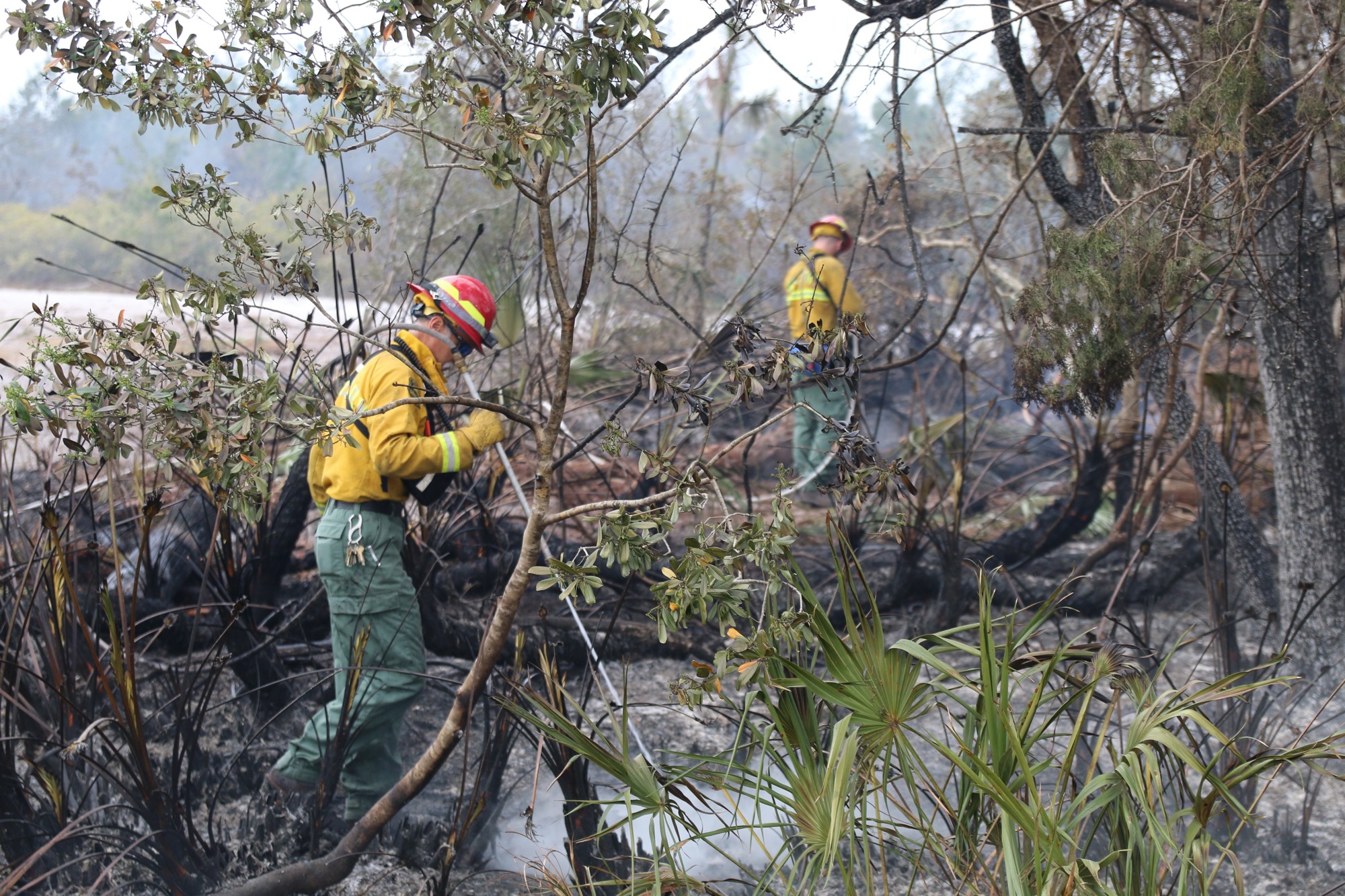 Crews battle hot spots from a 204-acre fire. Photo by Nichole Osinski