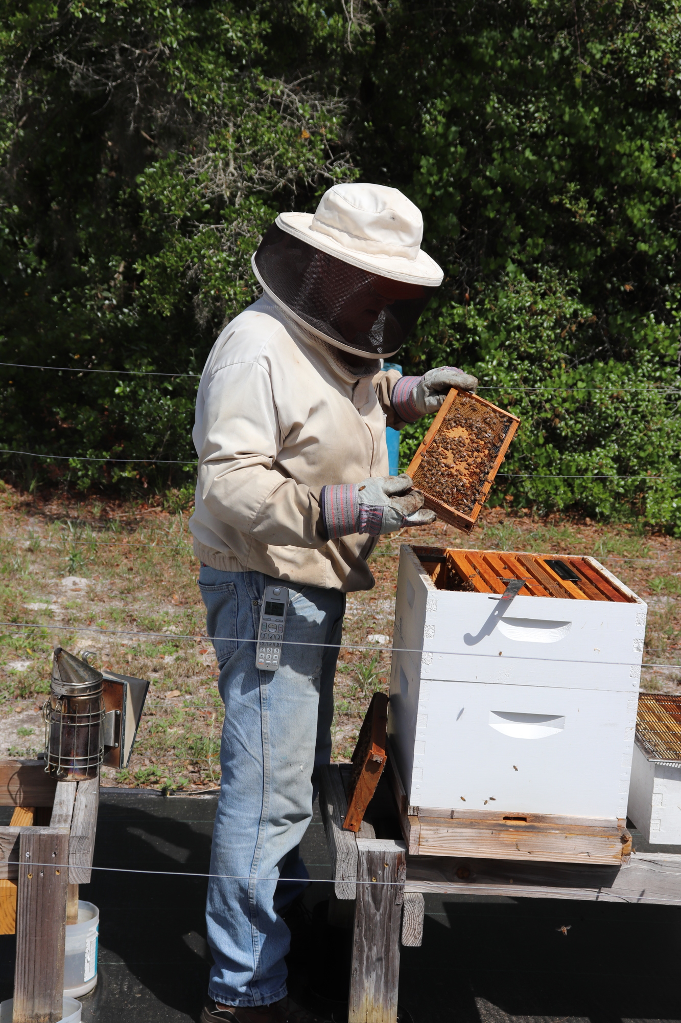 Beekeeper Woody inspects a hive. Photo courtesy of Tim Blodgett