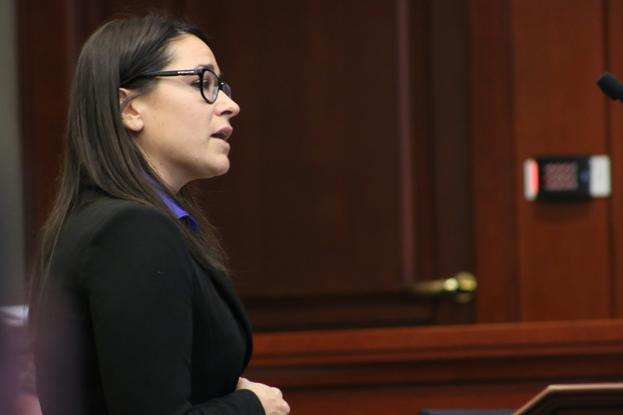 Assistant Statewide Prosecutor Mary Brigid Sammon conducts the opening statements on behalf of the state for James and Dale Holcombe's trial. Photo by Jarleene Almenas