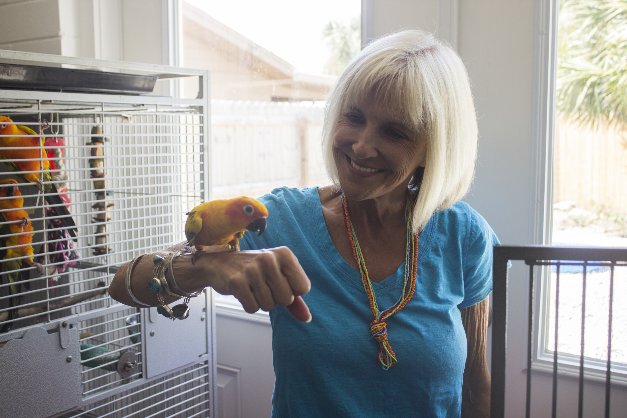 Dr. Prudence Walker also breeds different kids of exotic birds. She says to key to getting an affectionate bird is by bottle-feeding them from birth.