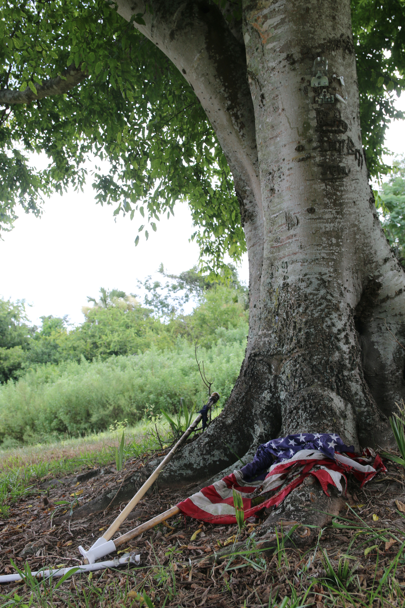 A damaged flag rests against the large Oak at Oakridge Cemetery. Photo by Jarleene Almenas