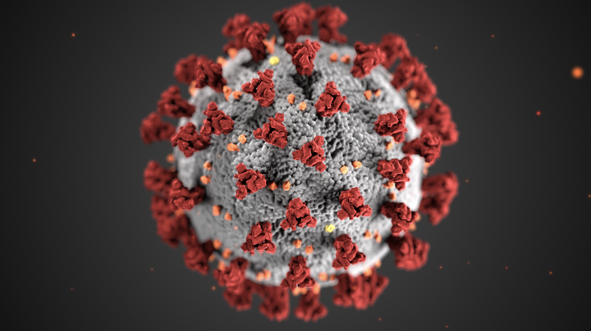 A novel coronavirus was identified as the cause of an outbreak of respiratory illness first detected in Wuhan, China in 2019, the CDC reported. Illustration courtesy of the CDC