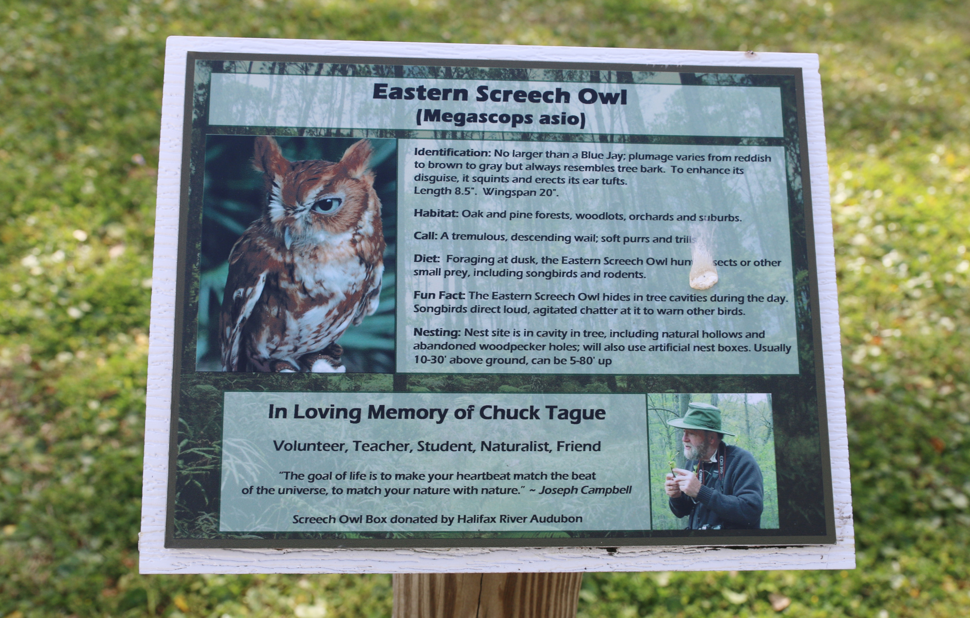 An informational sign about owls pays tribute to Chuck Tague. Photo by Jarleene Almenas