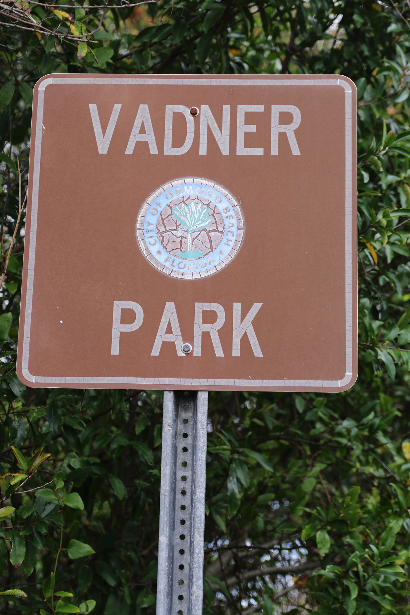 Vadner Park will be an all-native park come 2021. Photo by Jarleene Almenas