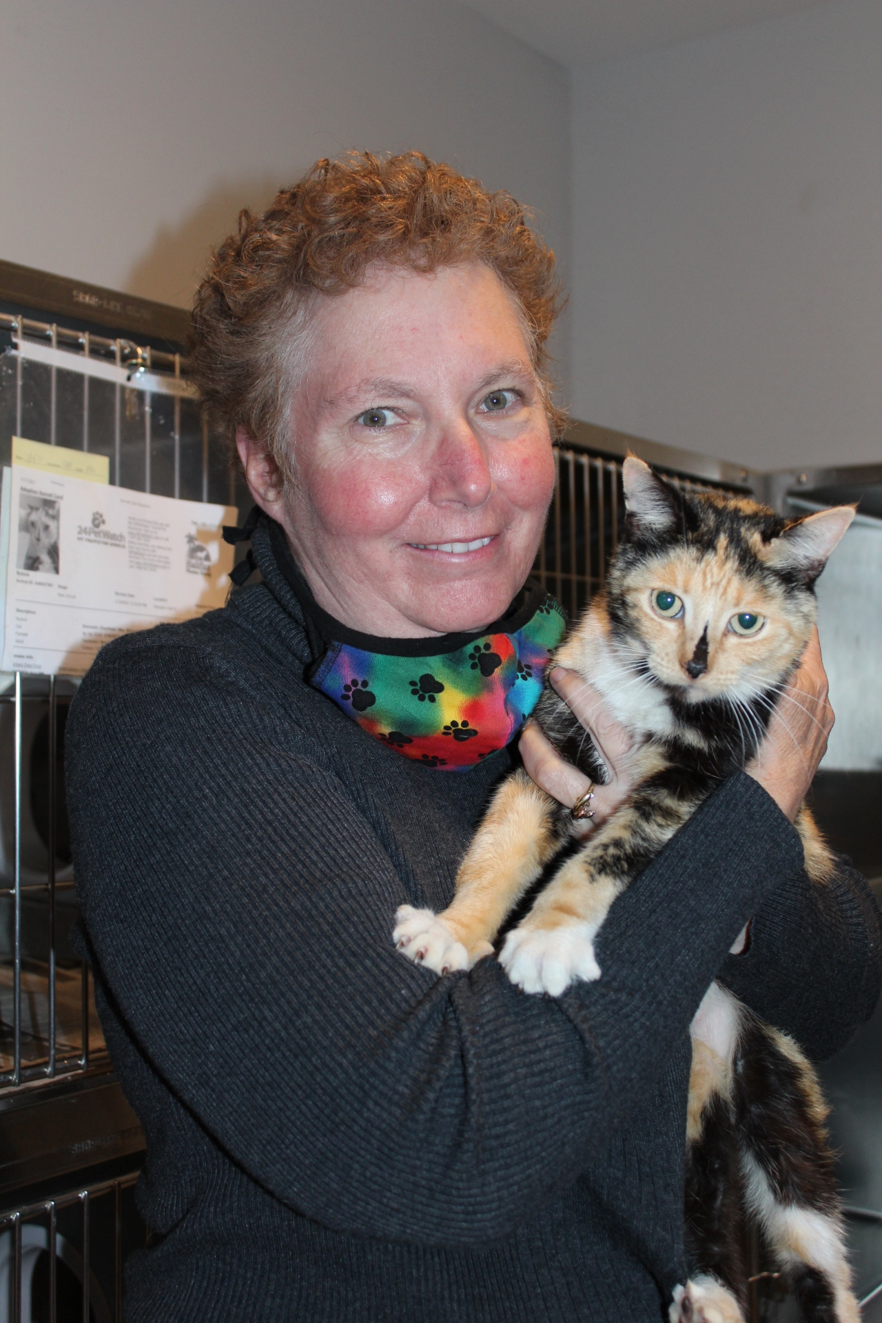 Karen Spaulding will be Halifax Humane Society's new chief operating officer. Courtesy photo