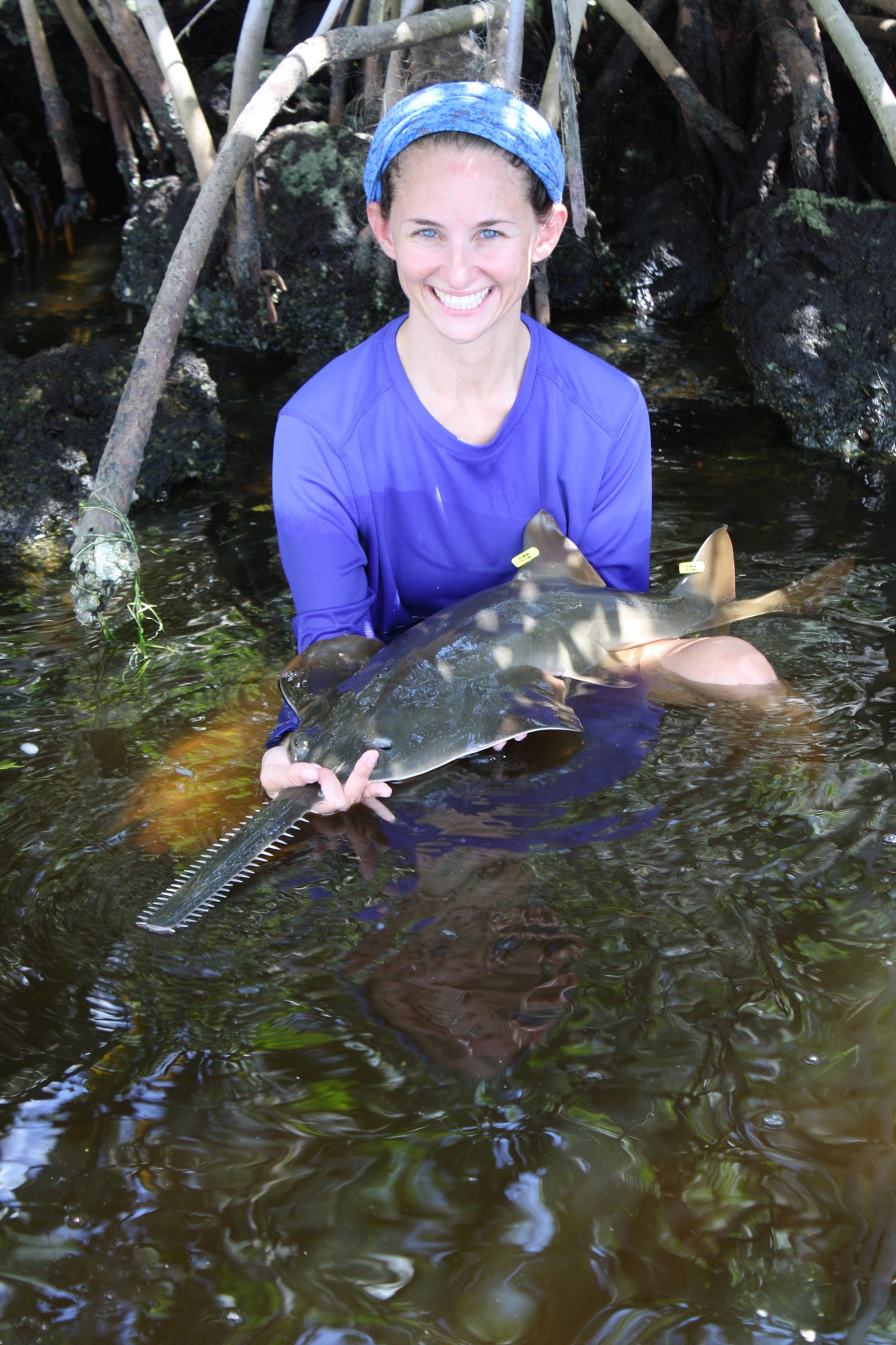 Rachel Scharer holds up a sawfish. Photo courtesy of Rachel Scharer