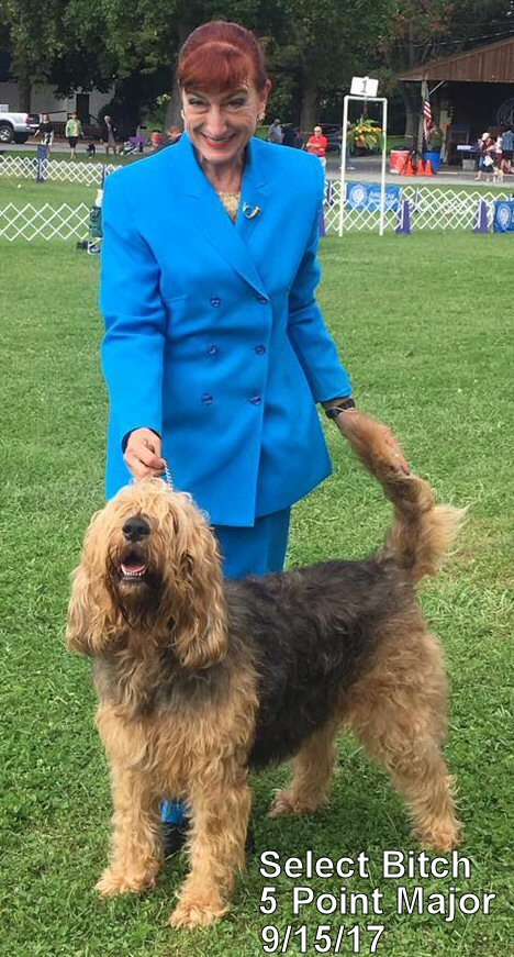 JoAnn Freise, handler of Hope, stands with the Otterhound at the dog show. Photo courtesy of JoAnn Freise