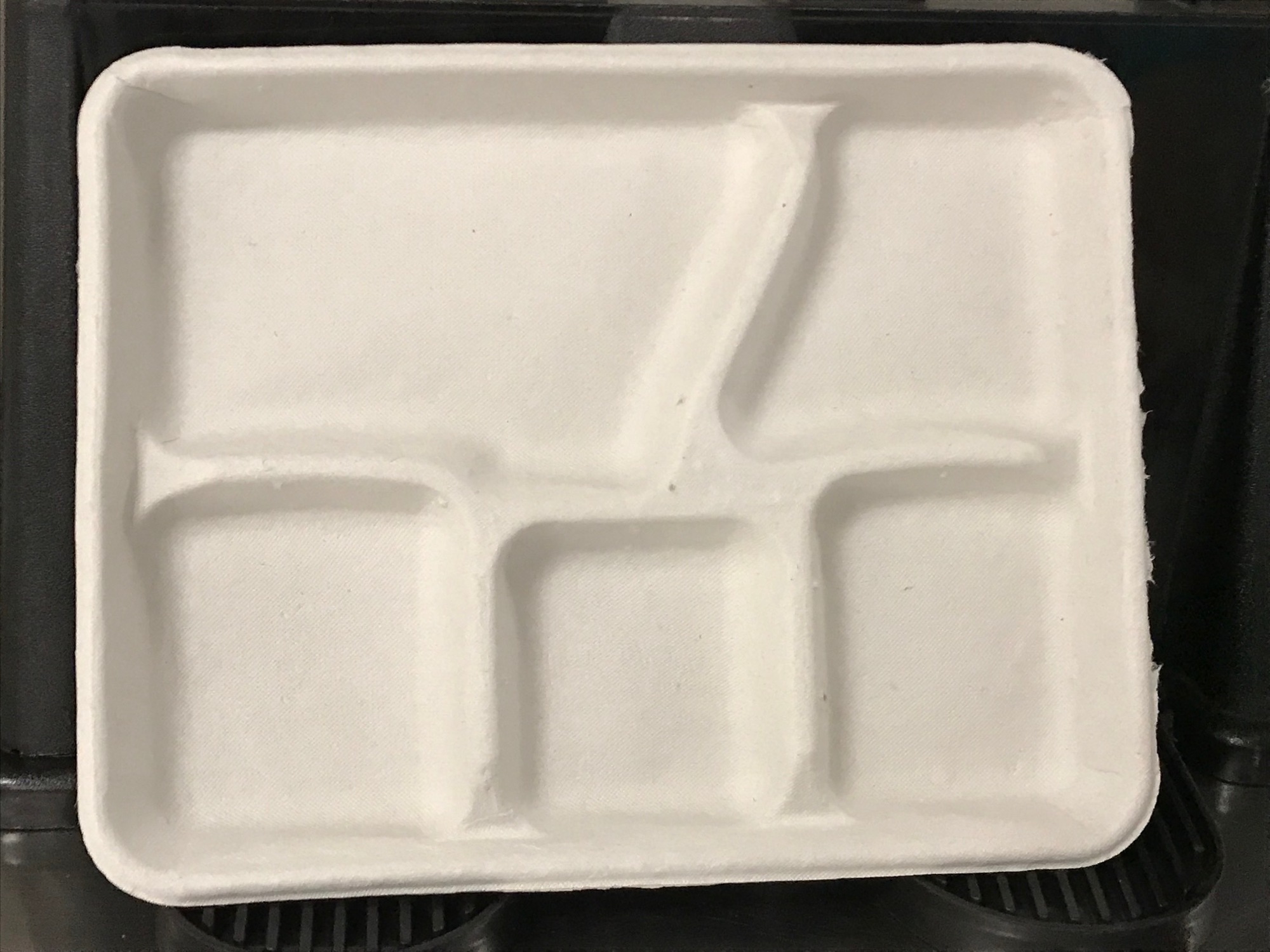 The new recycled paper trays adopted by the Flagler County School District will prevent more than 1.3 million Styrofoam trays from entering the Flagler County landfill each year. Photo courtesy Ellen Asher