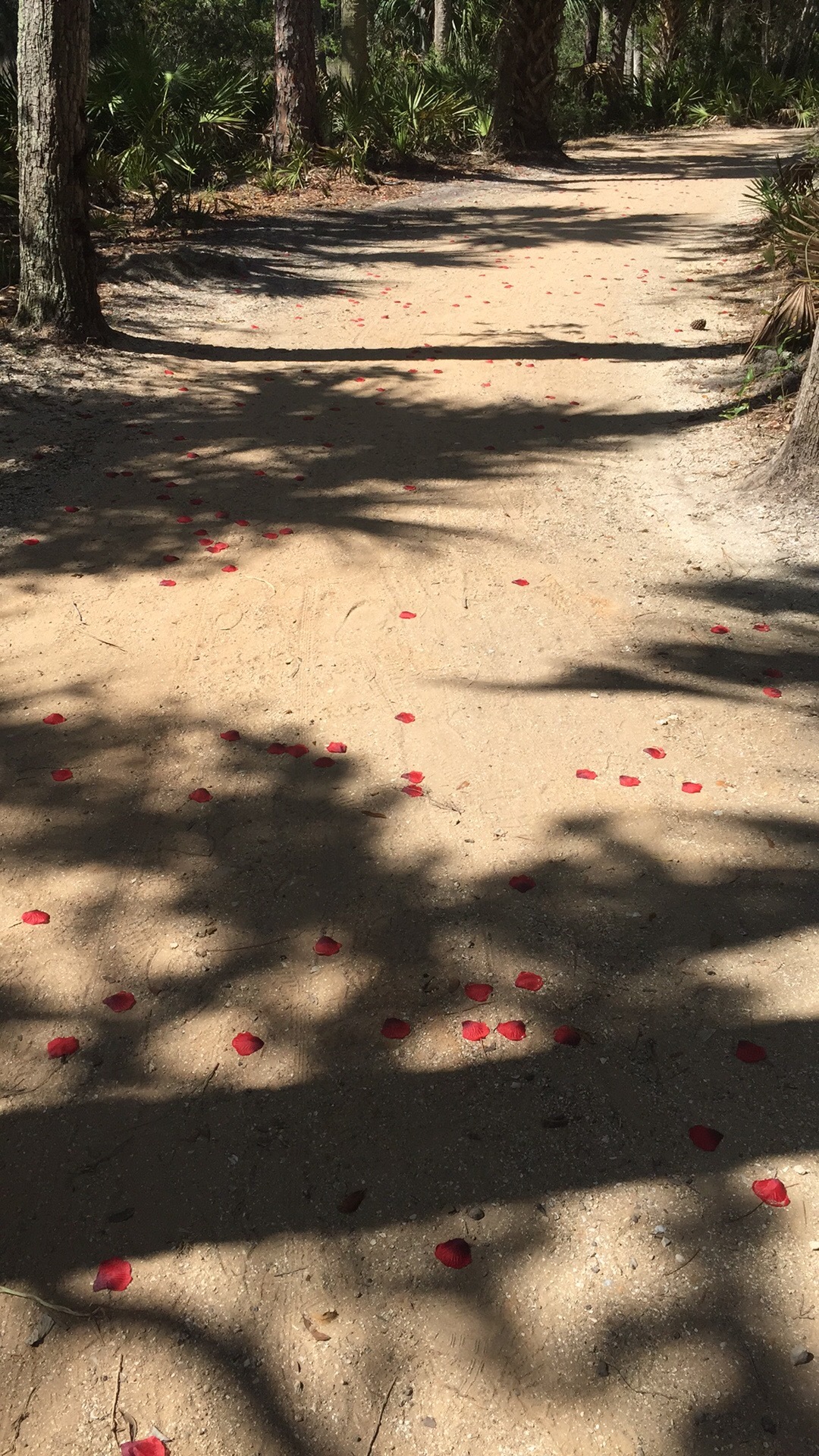 These silk petals might be romantic, but they're not biodegradable. (Courtesy photo)