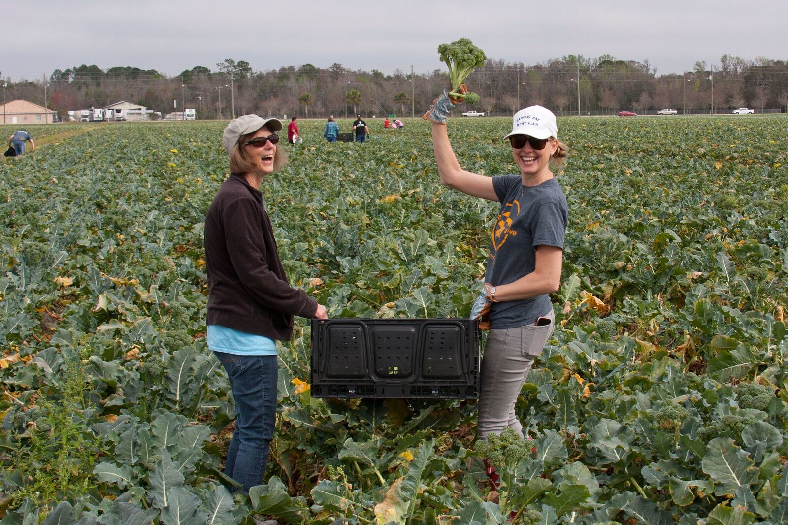 EPIC church member Jamie Furry and Bonnie Vining volunteer at the Northeast Florida gleaning event. Courtesy photo by John Manze