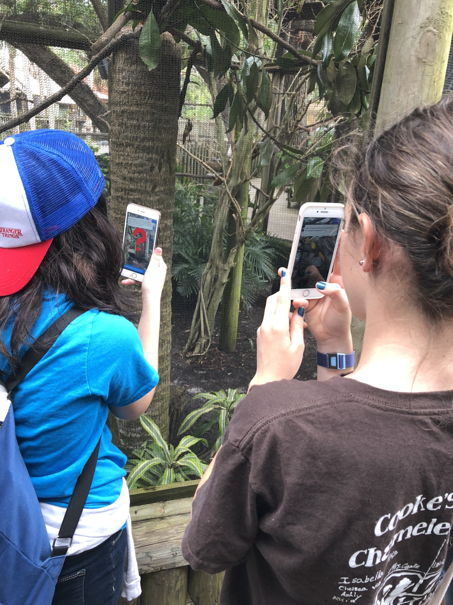 Gabby Battaglia and Kirra Taylor try out i3 Academy's augmented reality scavenger hunt game at the St. Augustine Alligator Farm. Photo courtesy of Corinne Schaefer