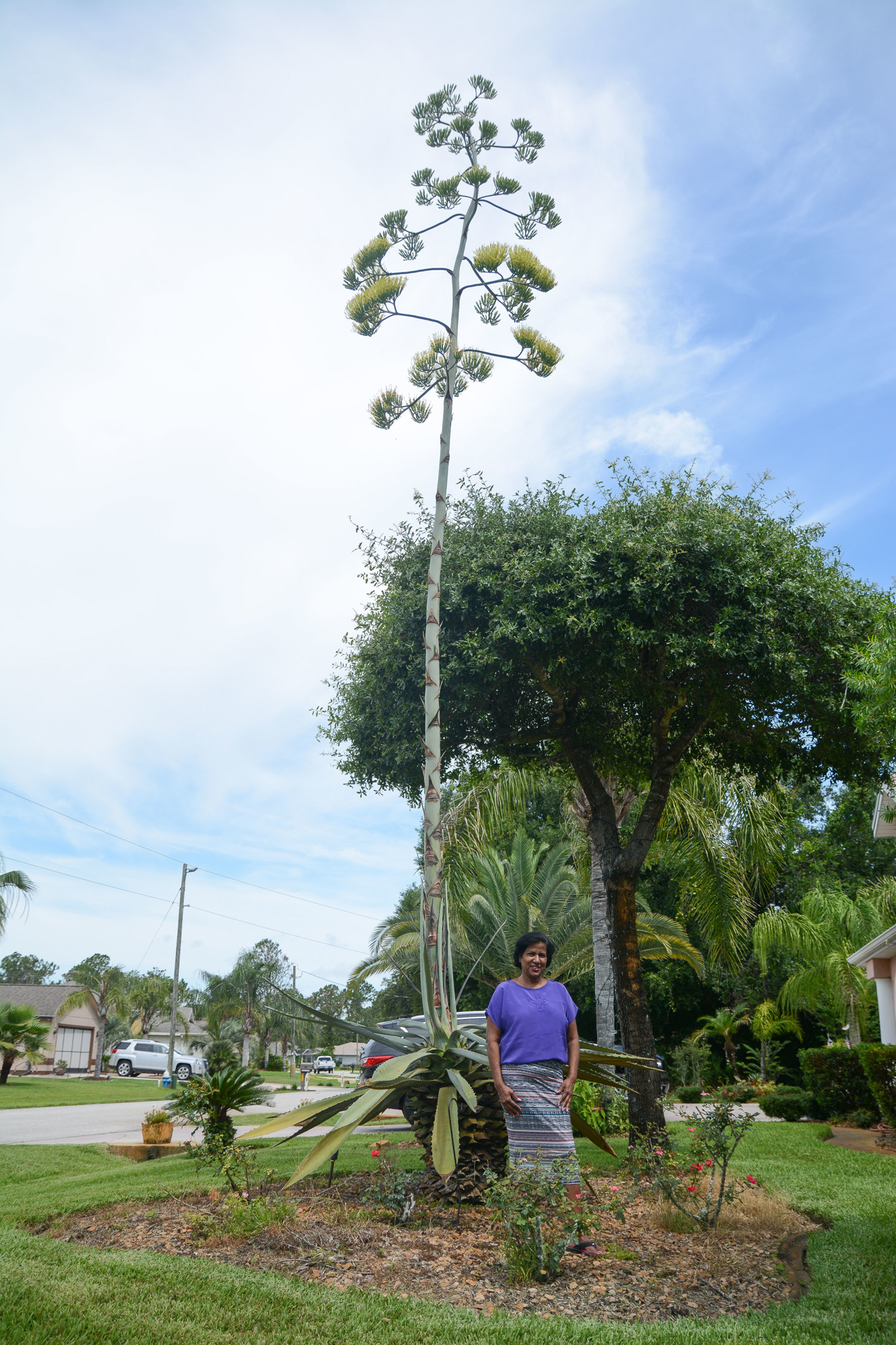 Joyce Etienne stands by the large century tree in her Palm Coast yard. Photo by Paige Wilson