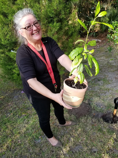 Rabbi Rose Eberle prepares to plant an esrog tree from Israel at Temple Beth Shalom in honor of Lag B'Omer, Jewish New Year of the trees. Photo courtesy of Marylynne Newmark