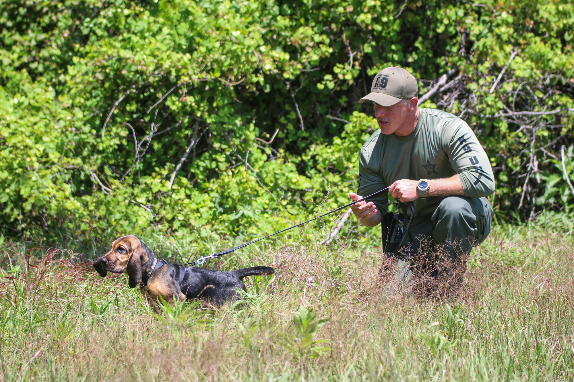 Cpl. Fred Gimbel says the command word  “such” (pronounced “tsuuk”) to K-9 Holmes during a 