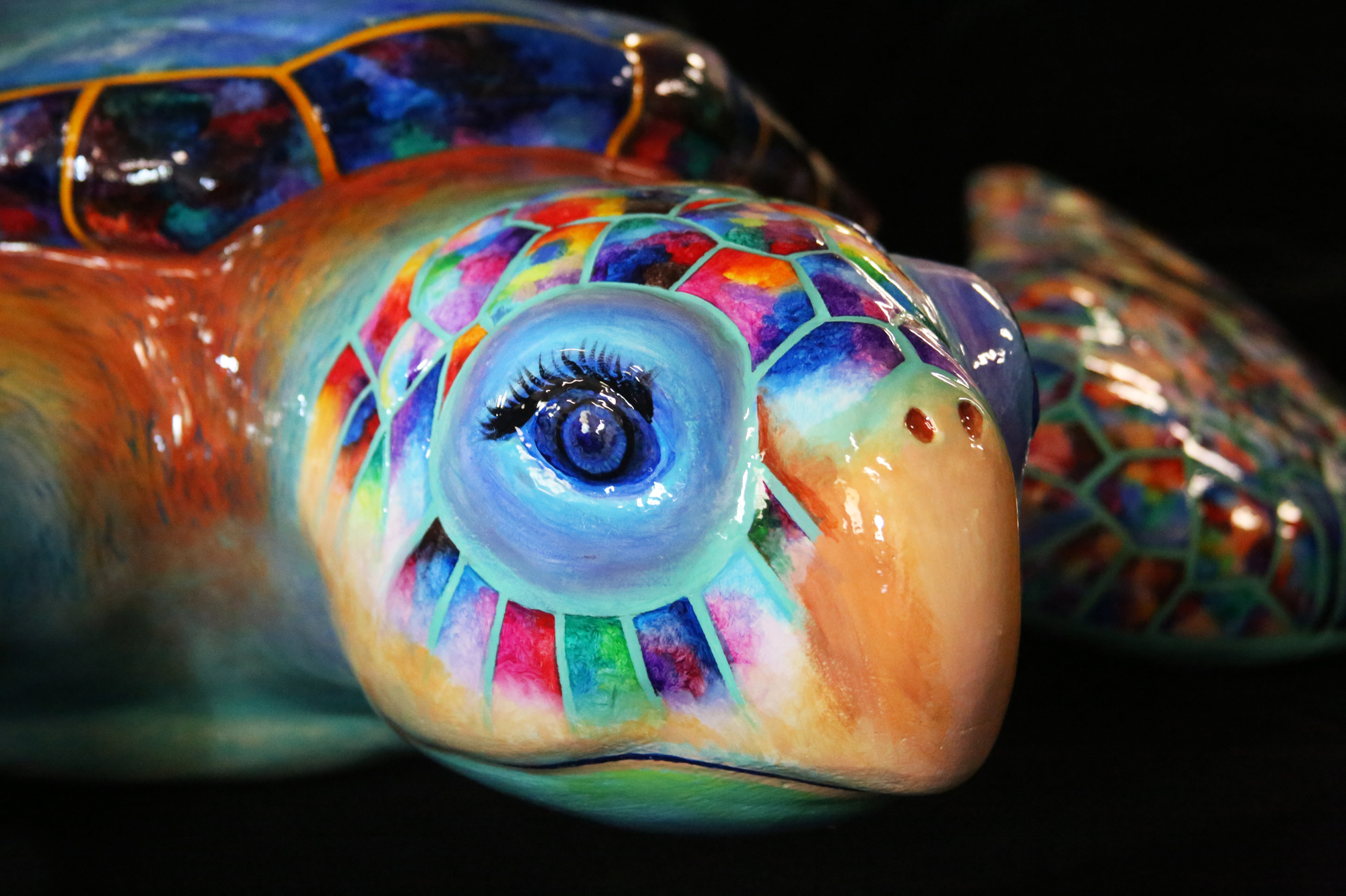 A detail of Turtle #10, 