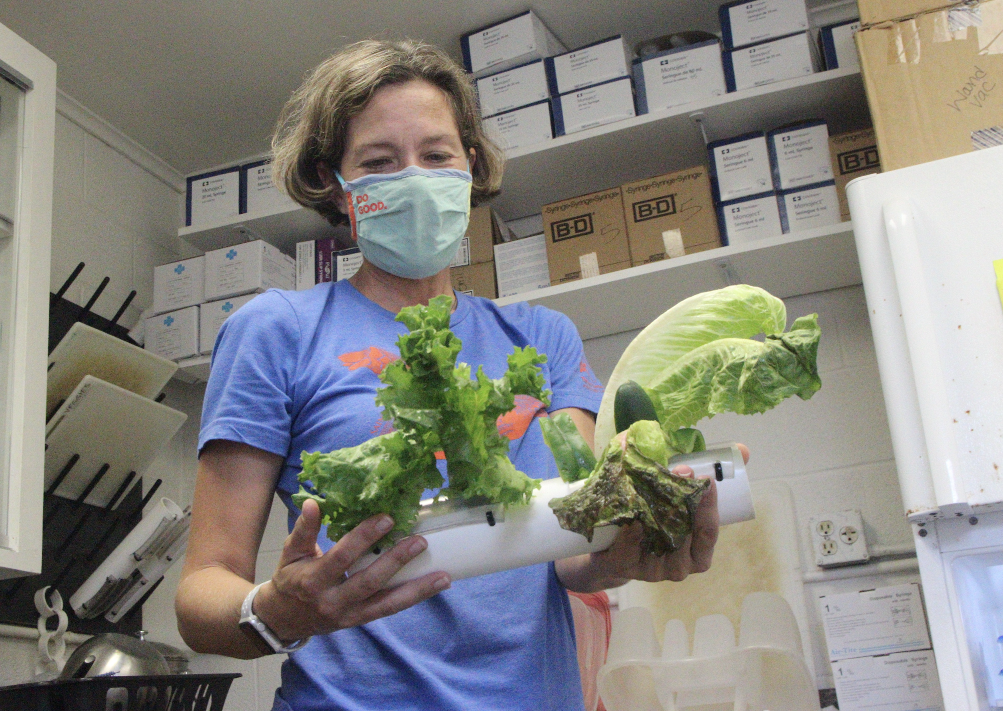 The Sea Turtle Hospital attaches greens to PVC before dropping them into the turtles' tanks so that the veggies will sink to the bottom, where the turtles can graze on them. Photo by Jonathan Simmons