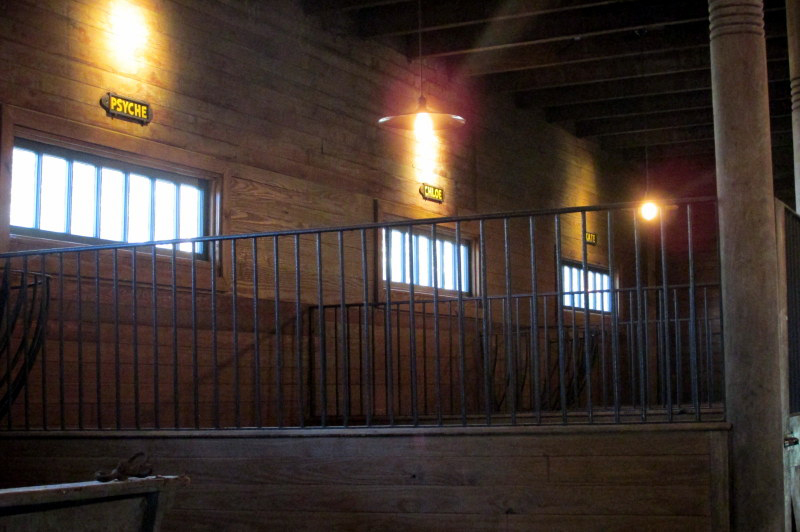 The names of the horses are still on display in each stall. DIMari Construction found old horse bits, horseshoes and a coke bottle from 1920 under the floorboards of the stable during the renovations. Courtesy Photo