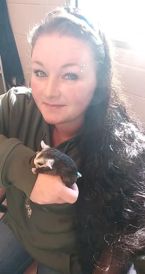 Animal services officer Dawn Morton and a baby possum. Courtesy photo