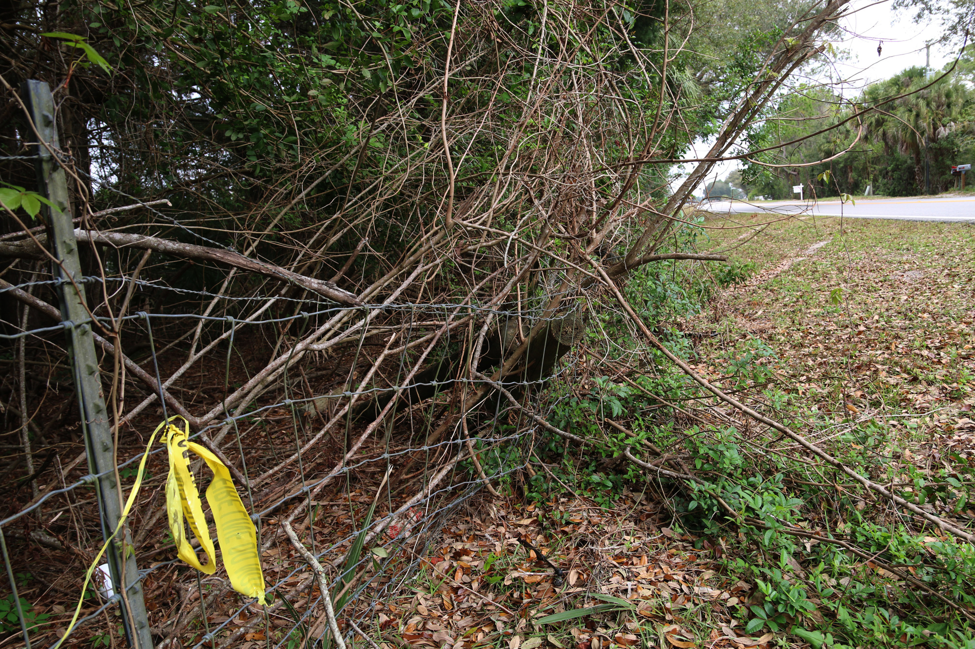 A piece of yellow caution tape remains at the site of the December crash. Photo by Jarleene Almenas