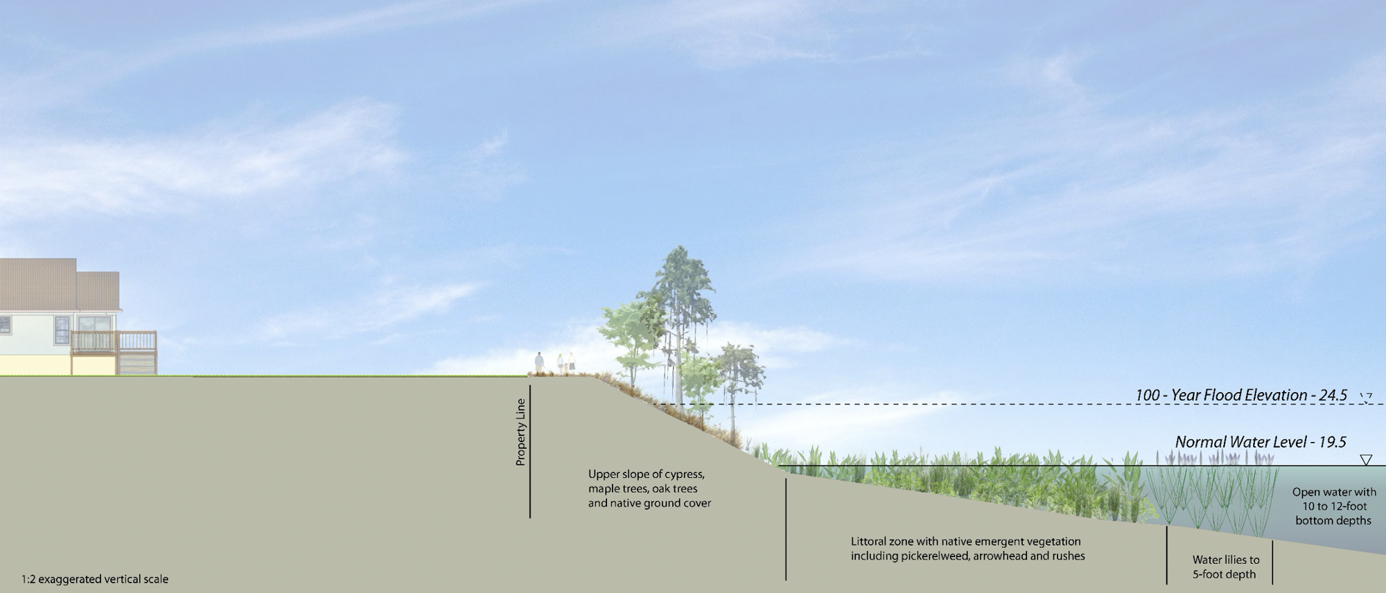 A cross section of the proposed lake. The vertical scale is exaggerated in the image, so the slope appears steeper than it actually would be. Image courtesy of the city of Palm Coast