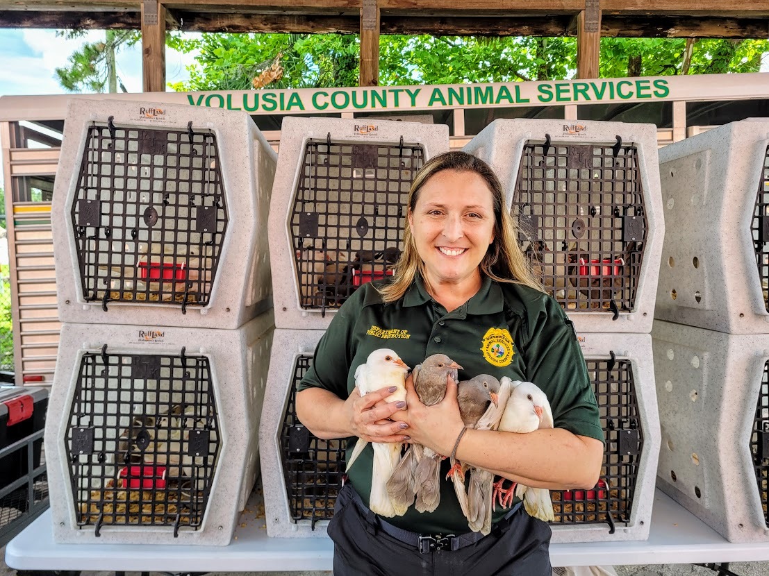 Volusia County Animal Control Officer Alicia Dease. Courtesy photo