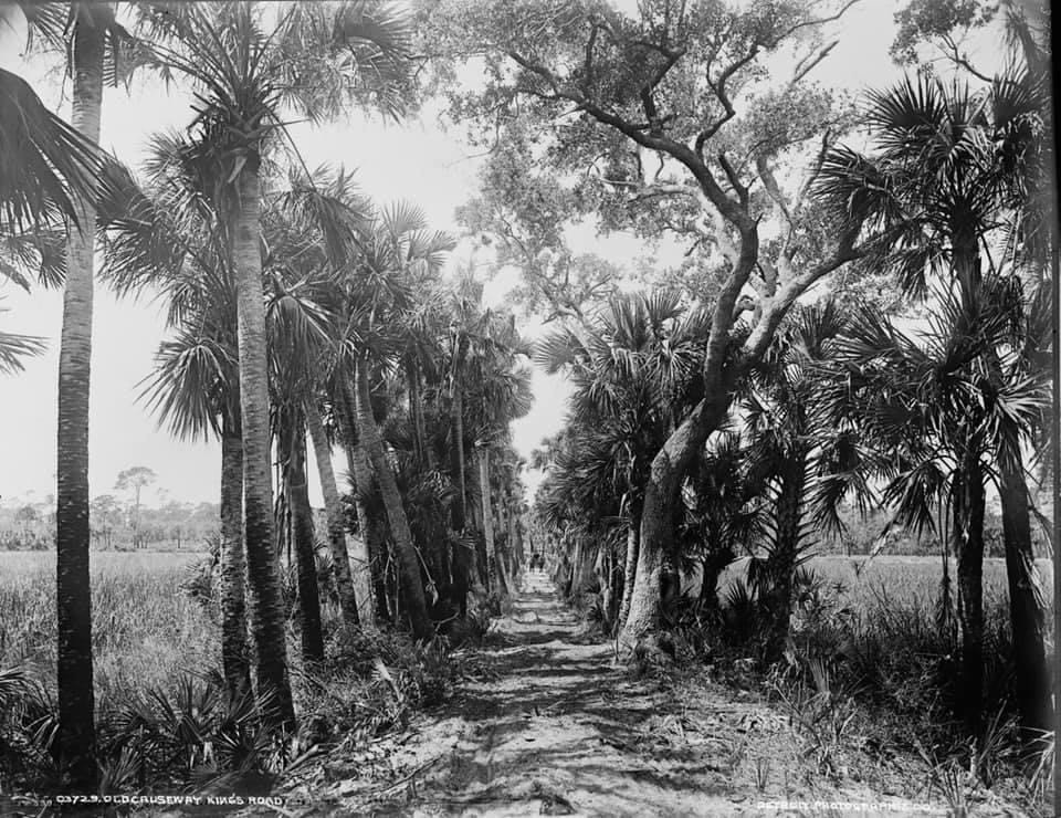 A historic photo of the lost causeway in Ormond Beach. Courtesy photo