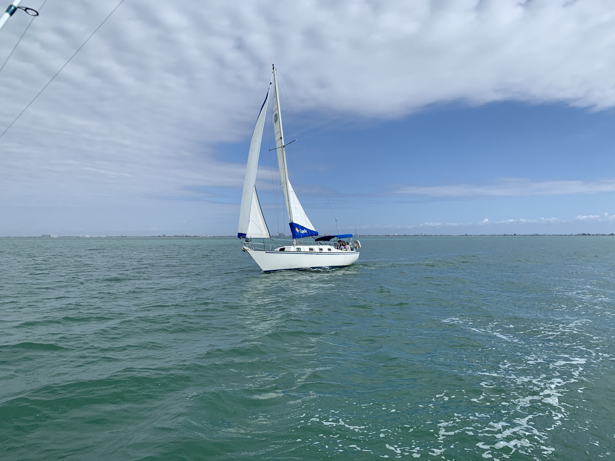 Courtesy. Capella under sail on the waters of the Gulf of Mexico.