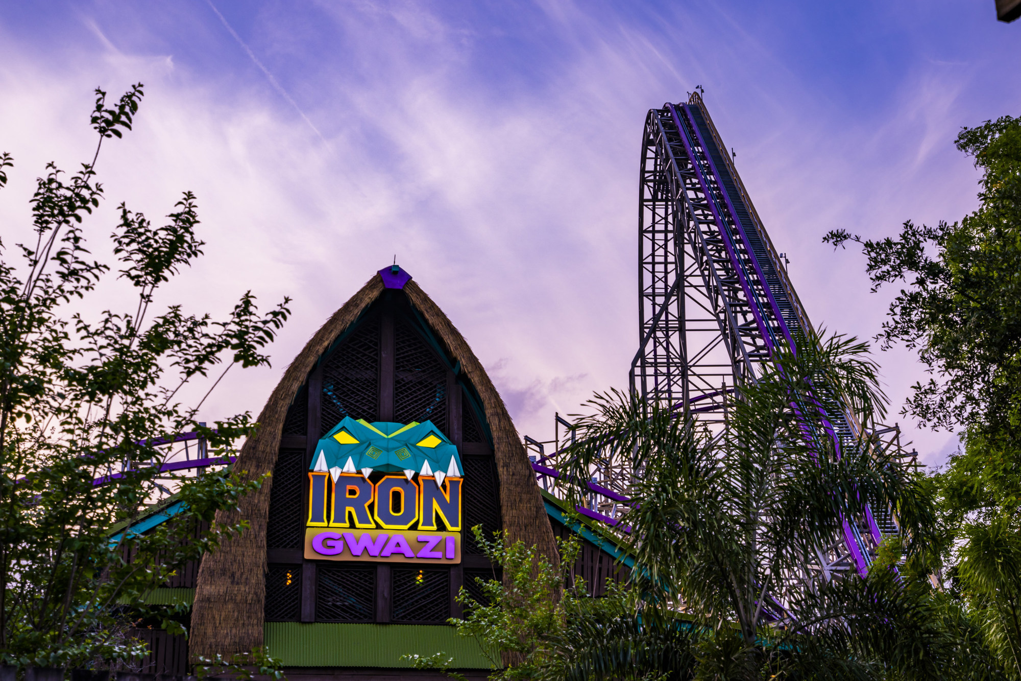 Courtesy. Iron Gwazi was built on the footprint of the original Gwazi rollercoaster and incorporates some of its wood frame.