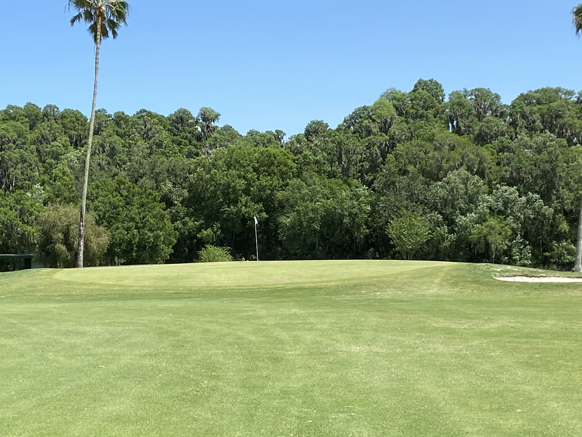 Bartow Golf Course also replaced all the sand in its bunkers. (Courtesy photo)