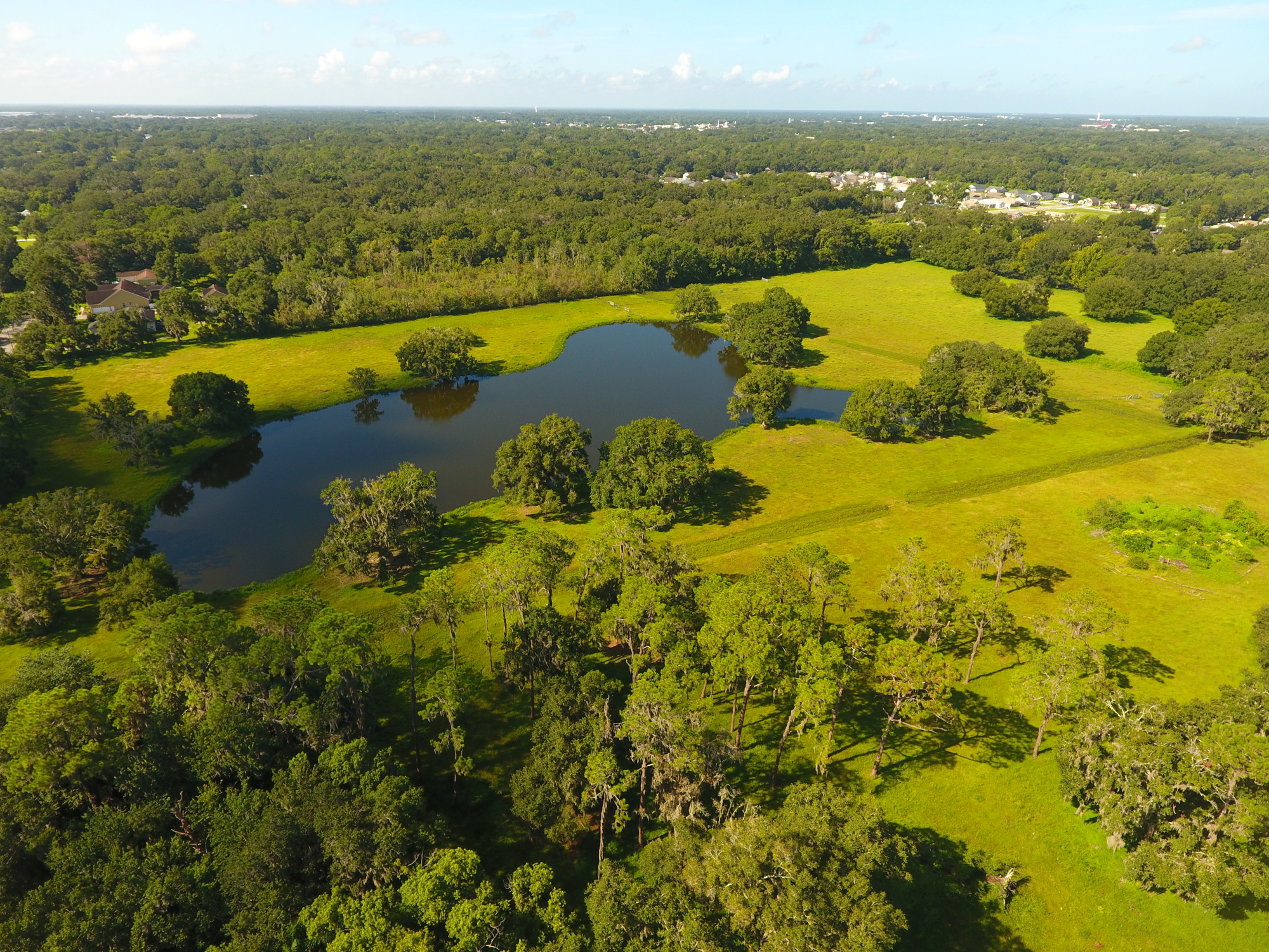 An aerial view of the property that will be the new home of Wish Farms. Courtesy photo. 