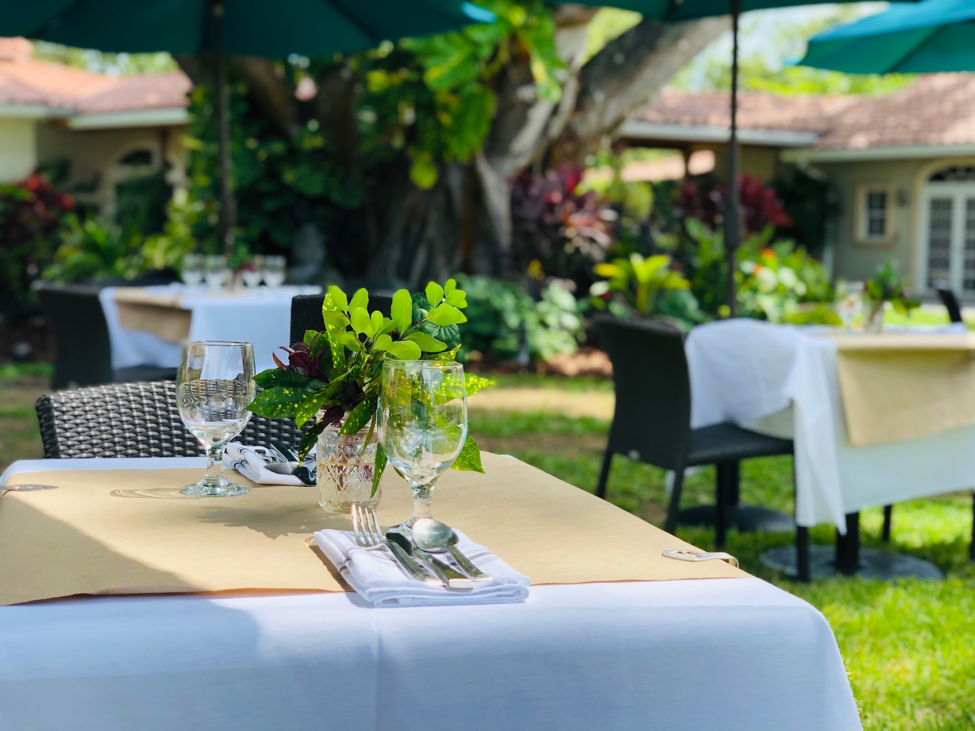 Courtesy/Chef David Robbins. In order to meet social distancing rules, the team at Harvest & Wisdom at Shangri-La Springs created outdoor seating with umbrellas on the lawn in addition to seating on the terrace.