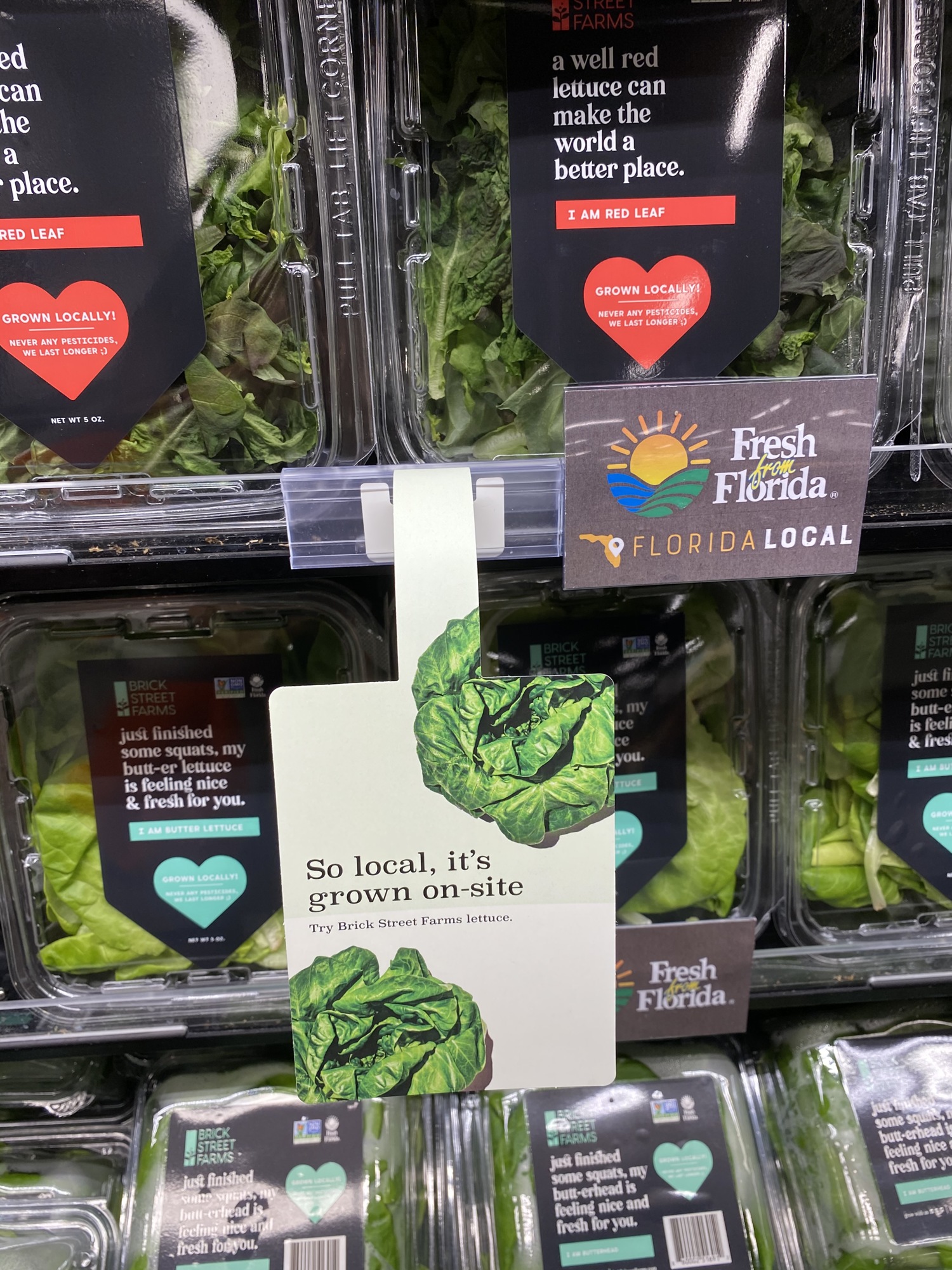 Courtesy. Lettuce grown in the hydroponic container farm at Publix’s GreenWise Market in Lakeland is sold in the store.
