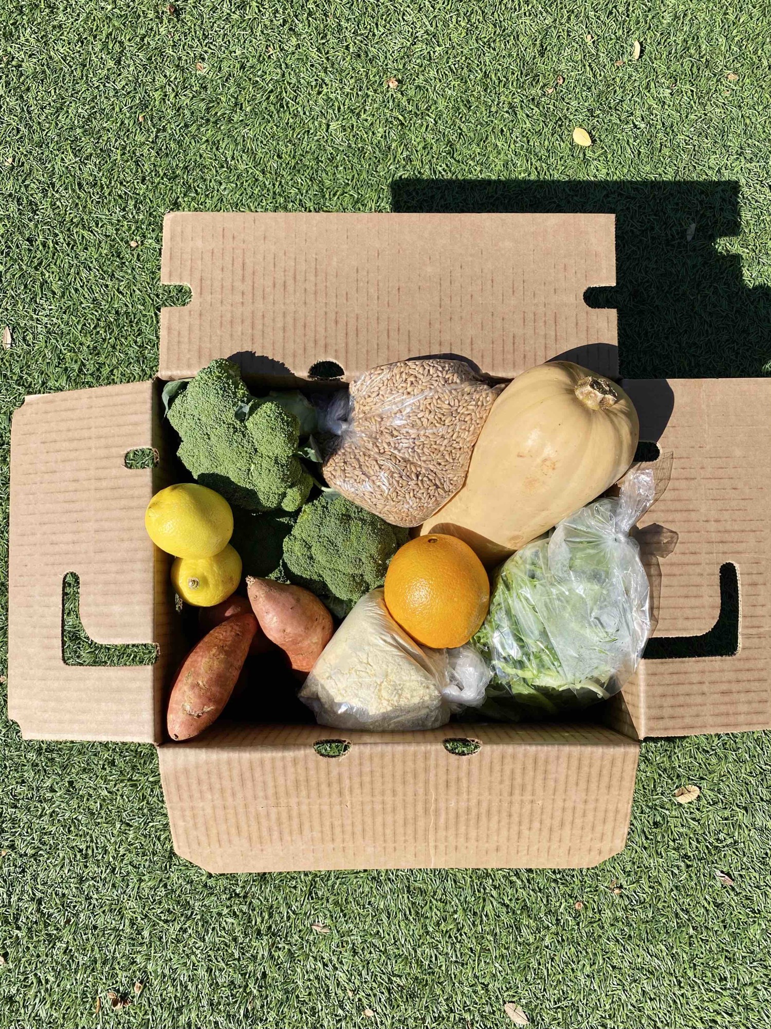 Courtesy. In November, Johnson brought the farm boxes back after a summer break when it was too hot for farmers to grow produce for the box.