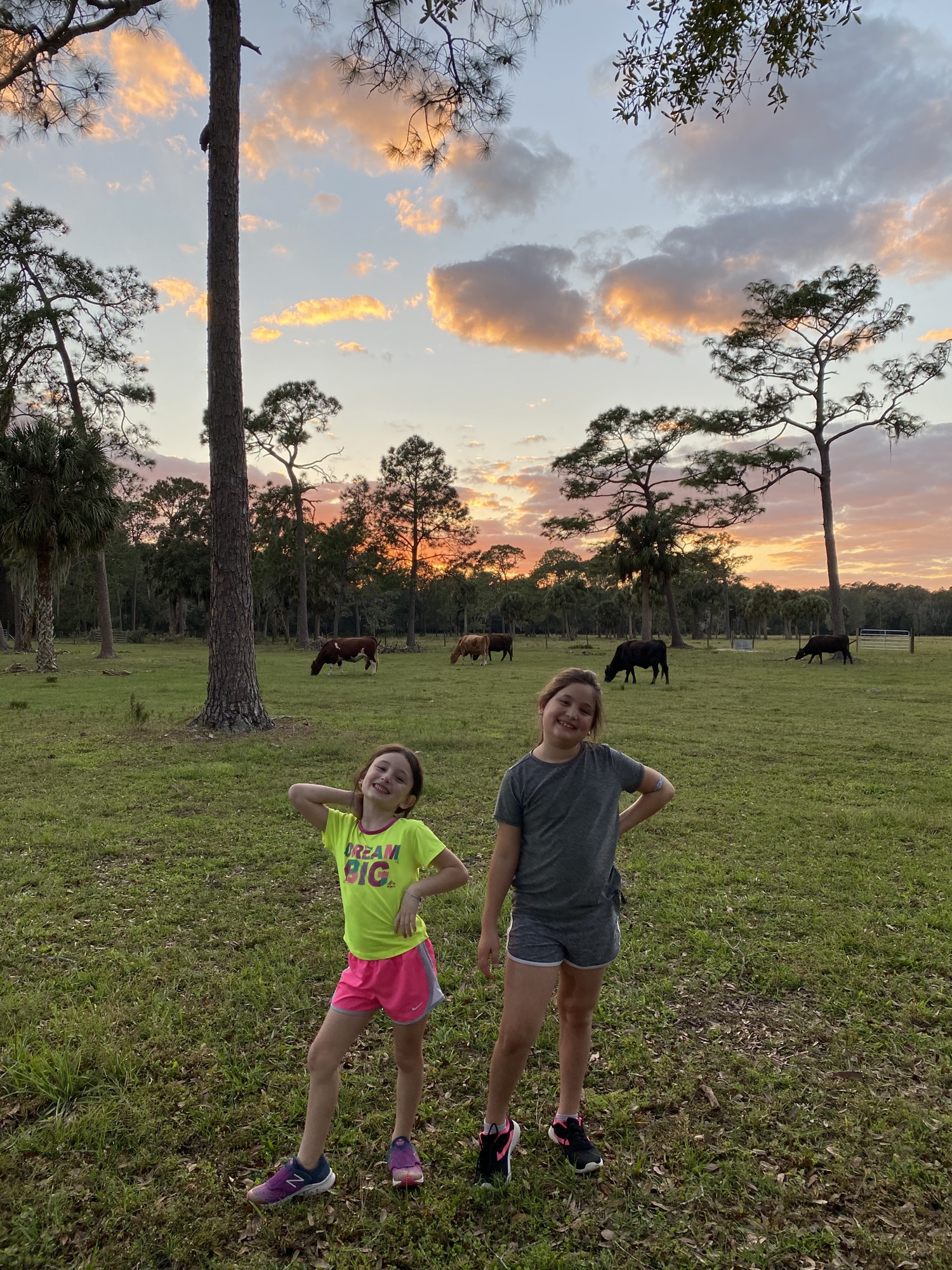 Courtesy. Lane Mendelsohn's daughters have taken to the ranching life. He has them raising chickens, like he did as a child.