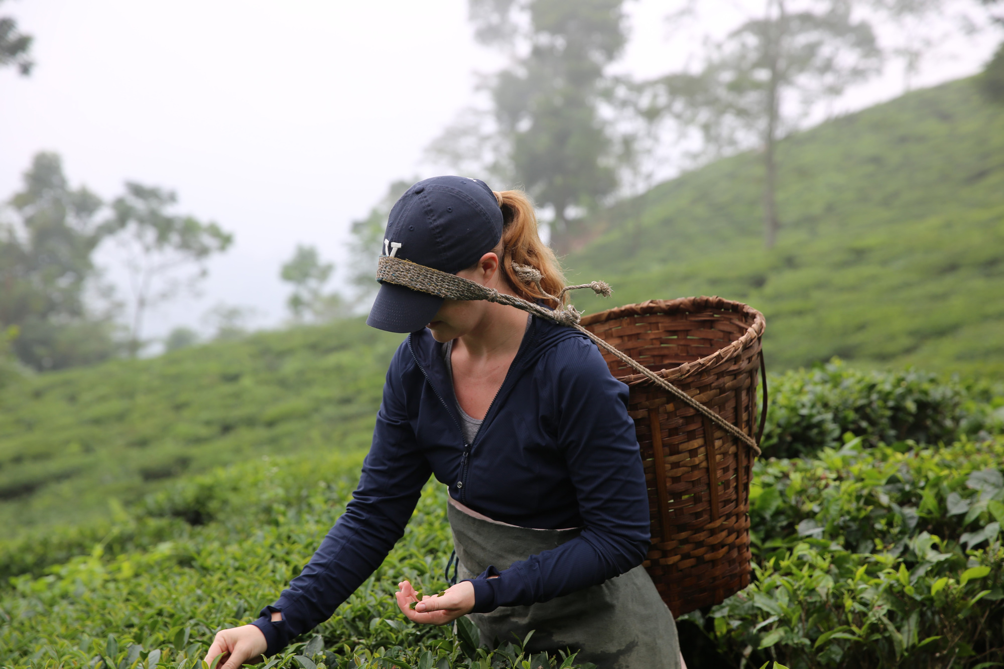 Courtesy. Abigail StClair, founder and CEO of TeBella Tea Co., has led the company’s growth since its founding in 2010. TeBella now has four retail stores, 150 wholesale clients and increasing online sales.