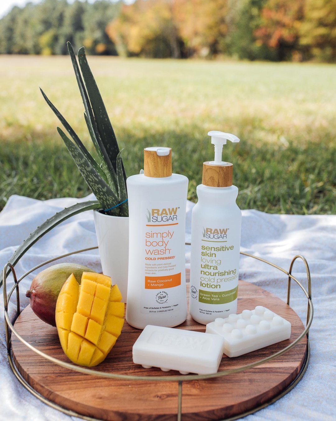 Courtesy. Raw Sugar Living has seen several successes, including launching in Target stores chain-wide and introducing over 140 products into the marketplace.
