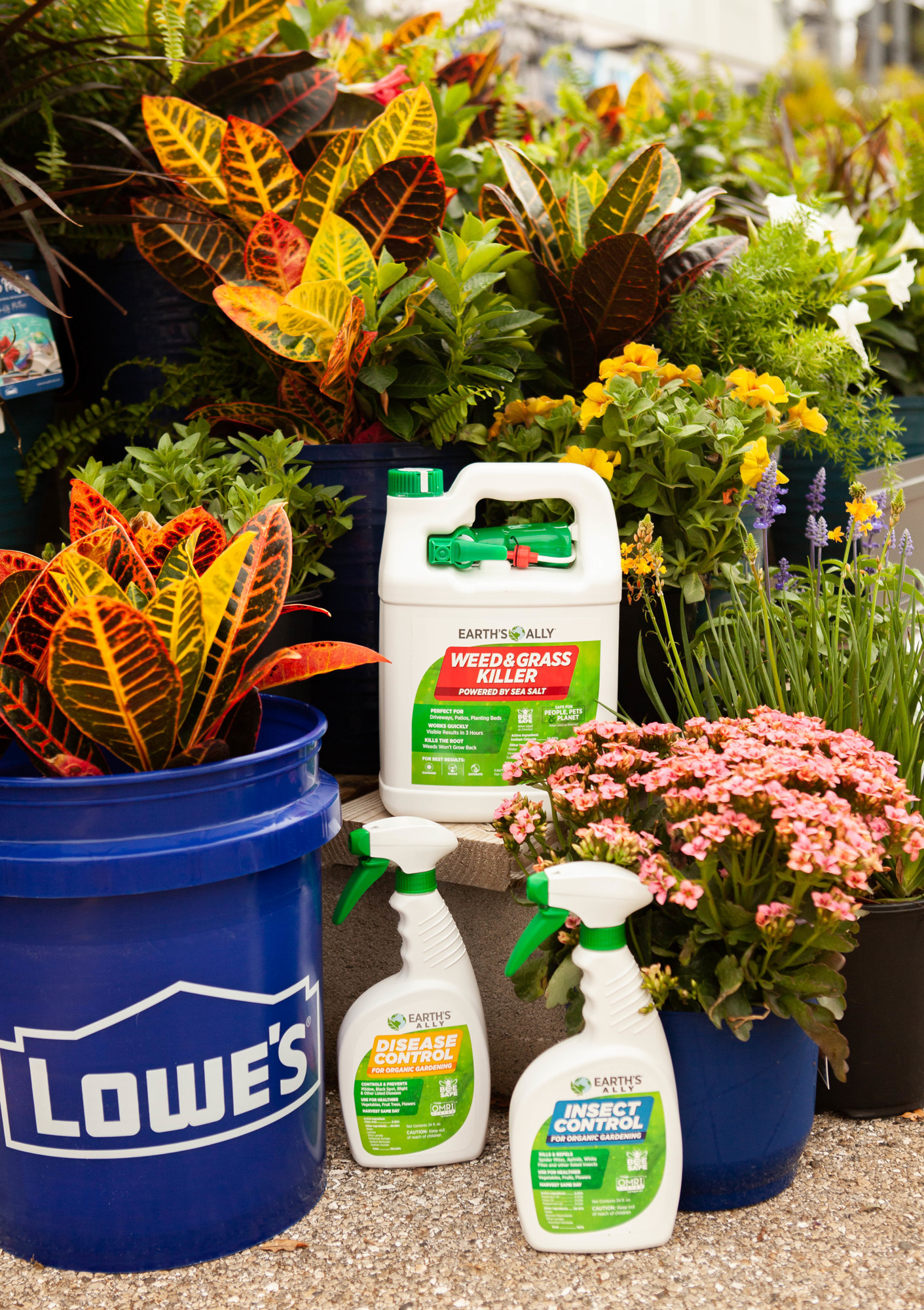 Courtesy. Beginning in May 2021, the complete line of the Sarasota-based company's organic gardening products, Insect Control, Disease Control and Weed & Grass Killer will be available at more than 500 Lowe’s retail stores.