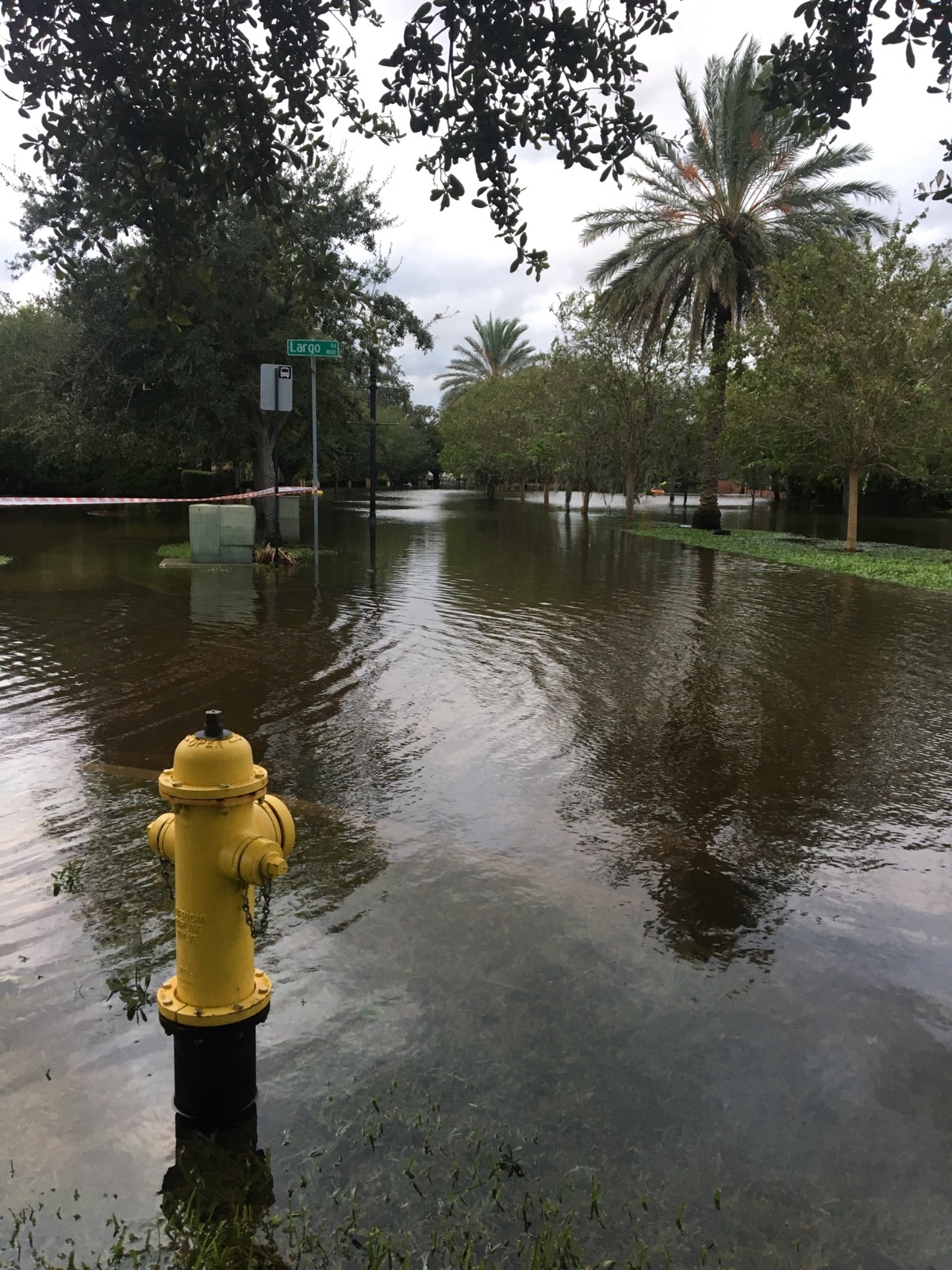 Flooding in San Marco on Monday. (Photo by David Cawton)