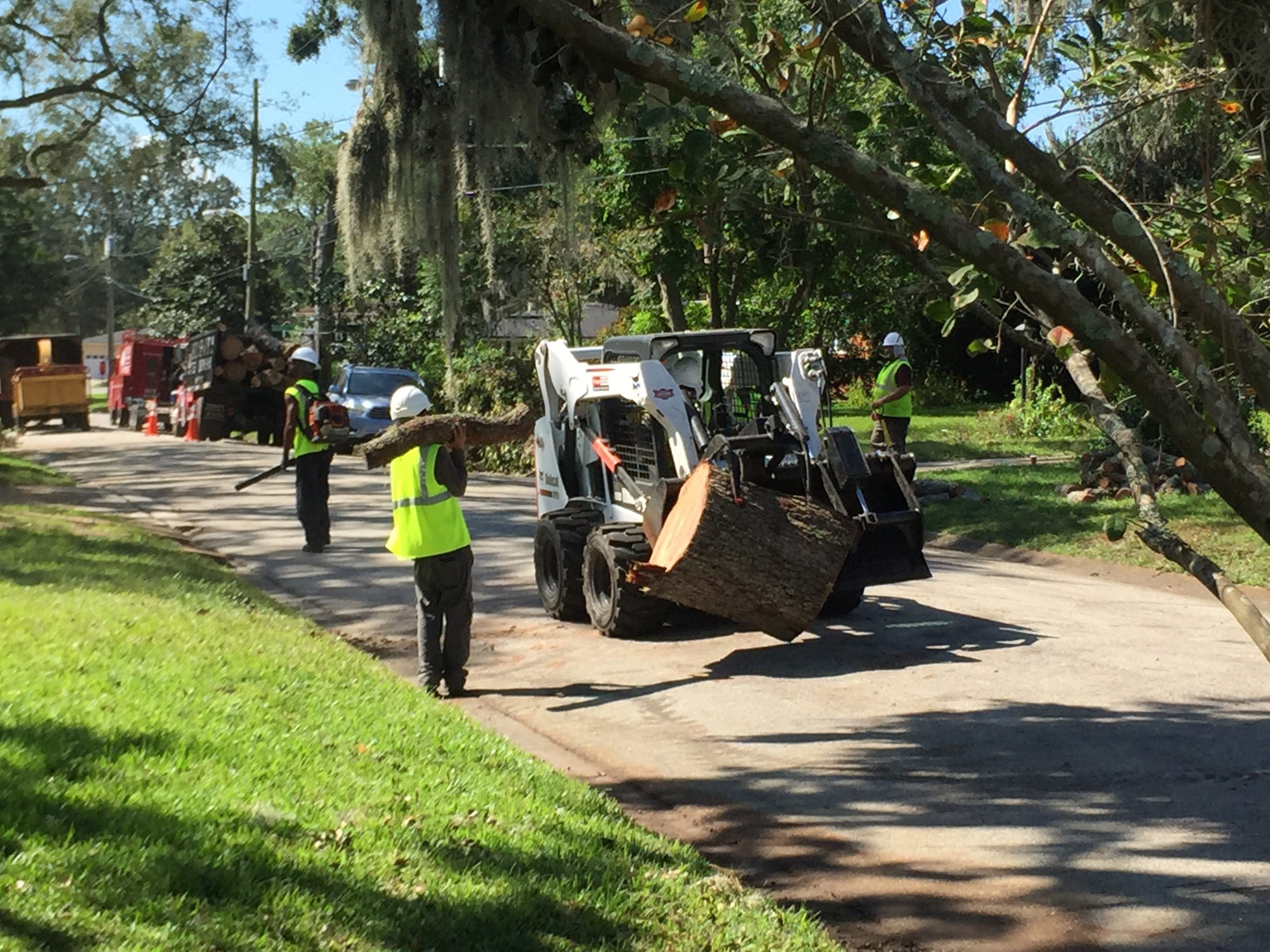 Brian Bushor of Bushor’s Tree Surgeons said to be wary of out-of-state crews looking for cleanup work — and to never pay in advance.