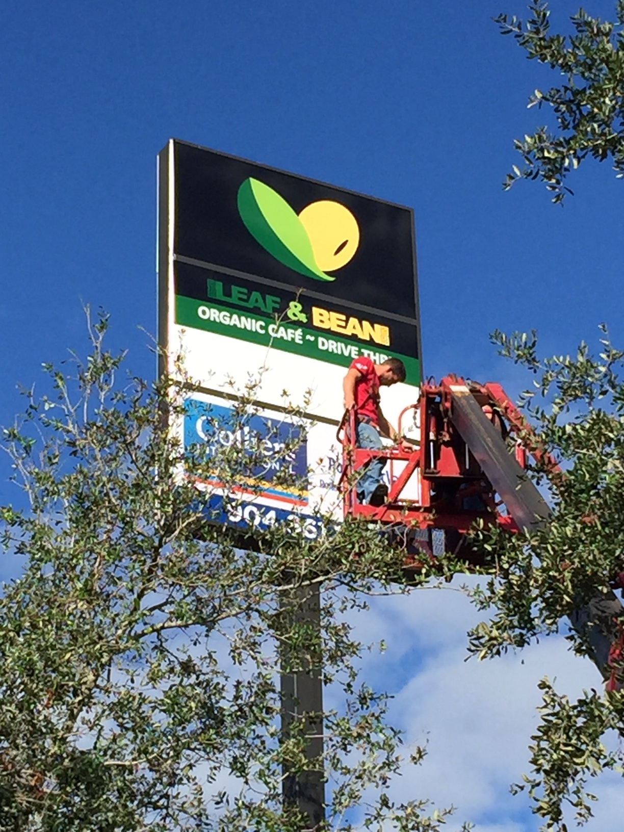 Signarama hoisted the Leaf & Bean signs Wednesday to the sign pole at Intracoastal Plaza.