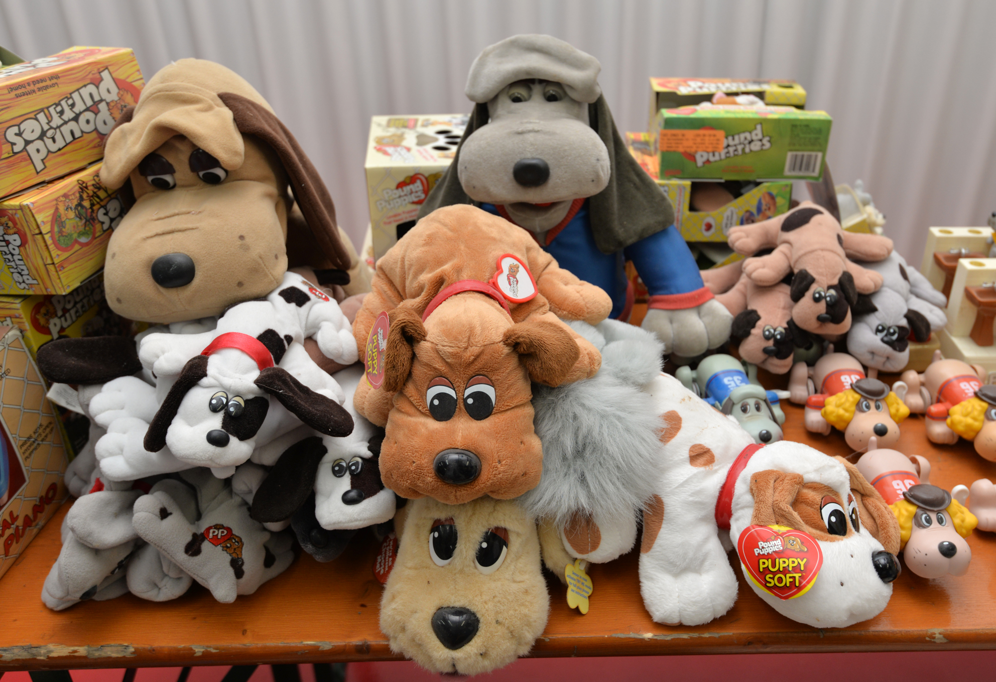 Piles of Pound Puppies are found in Bowling’s Fernandina Beach office.