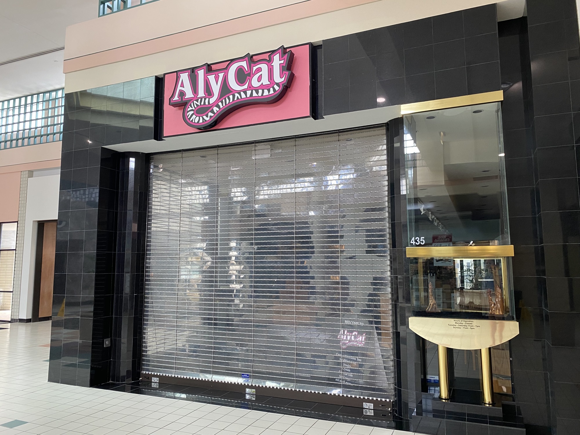 The closed AlyCat store at Regency Square Mall.
