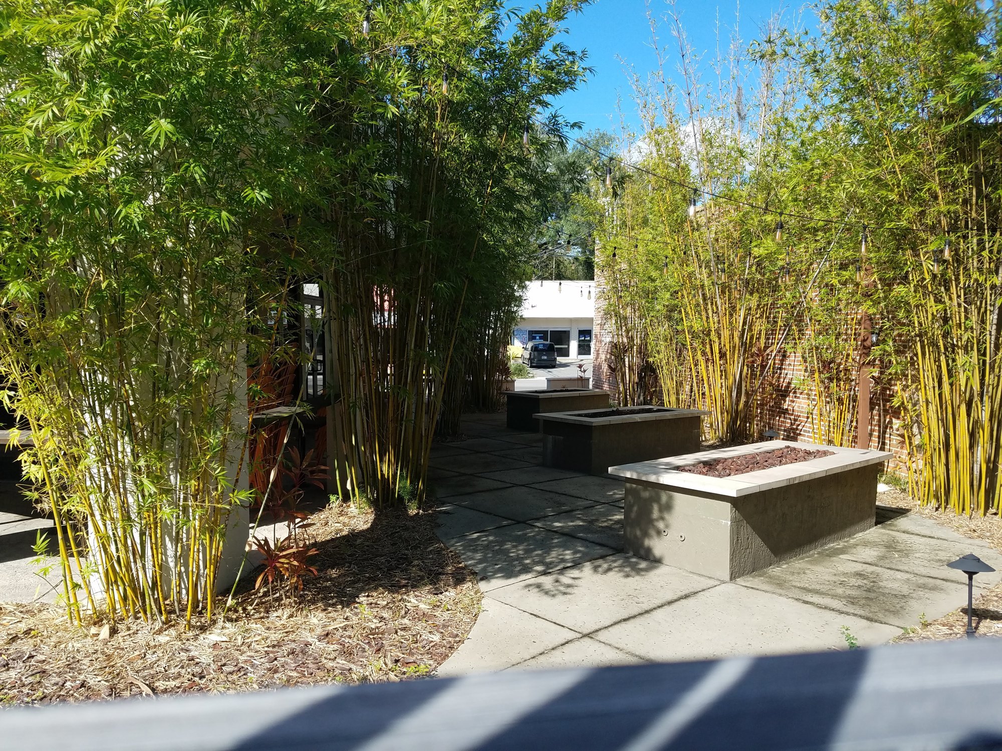 The outdoor patio area at South Kitchen & Spirits features bamboo landscaping.