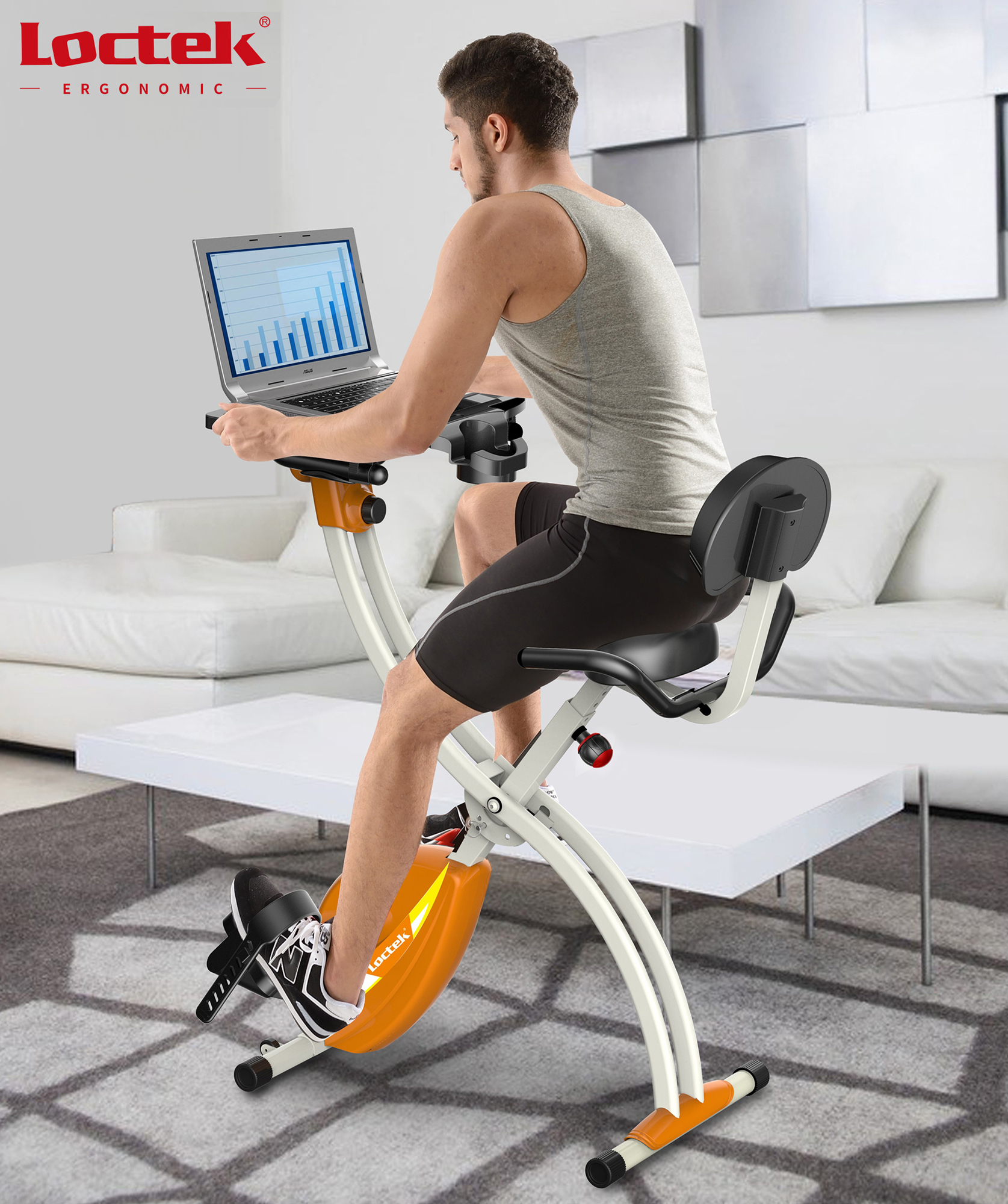 A Loctek Ergonomic desk bike.