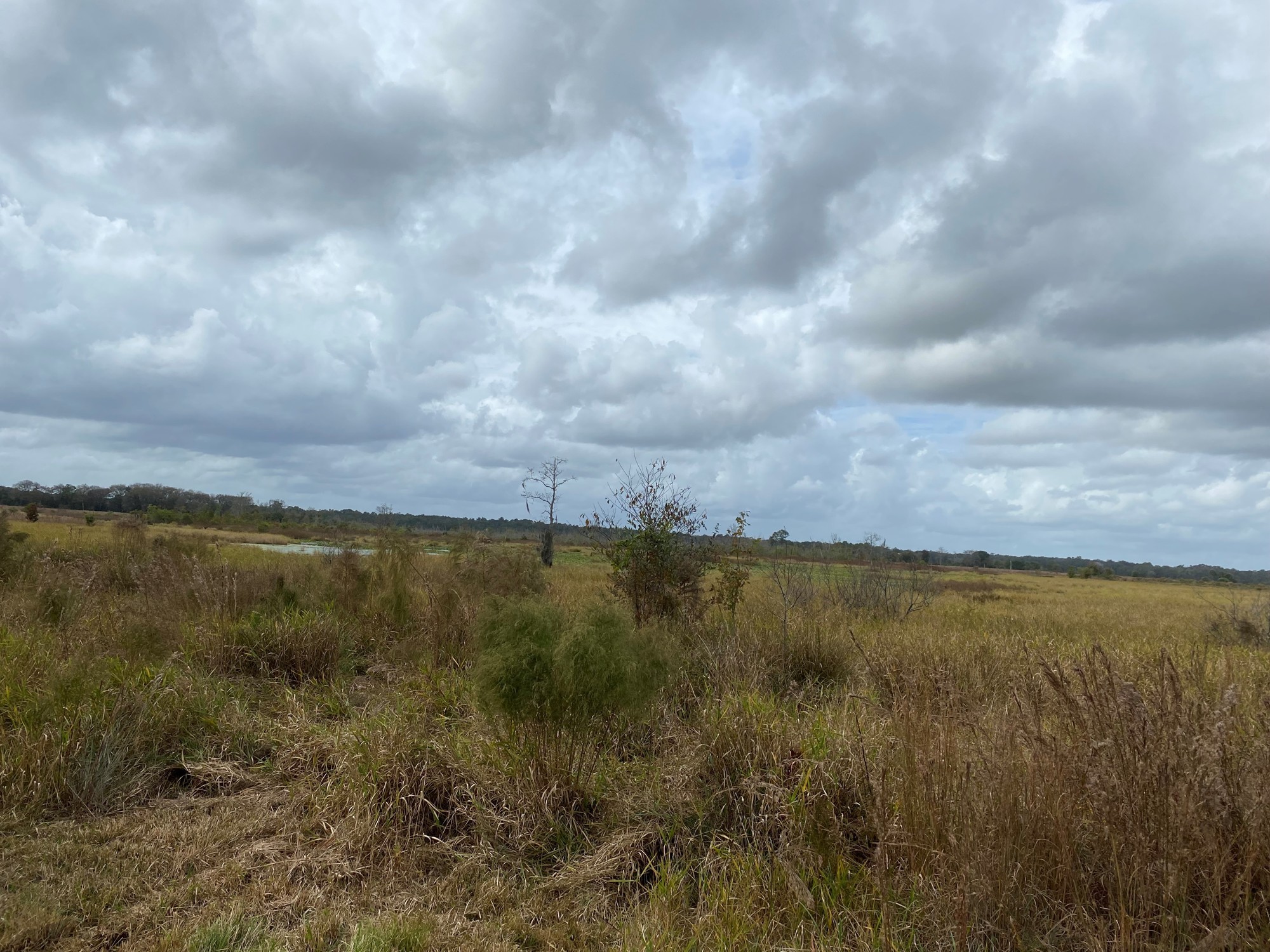 The site is about 2½ miles north of Interlachen along County Road 315.