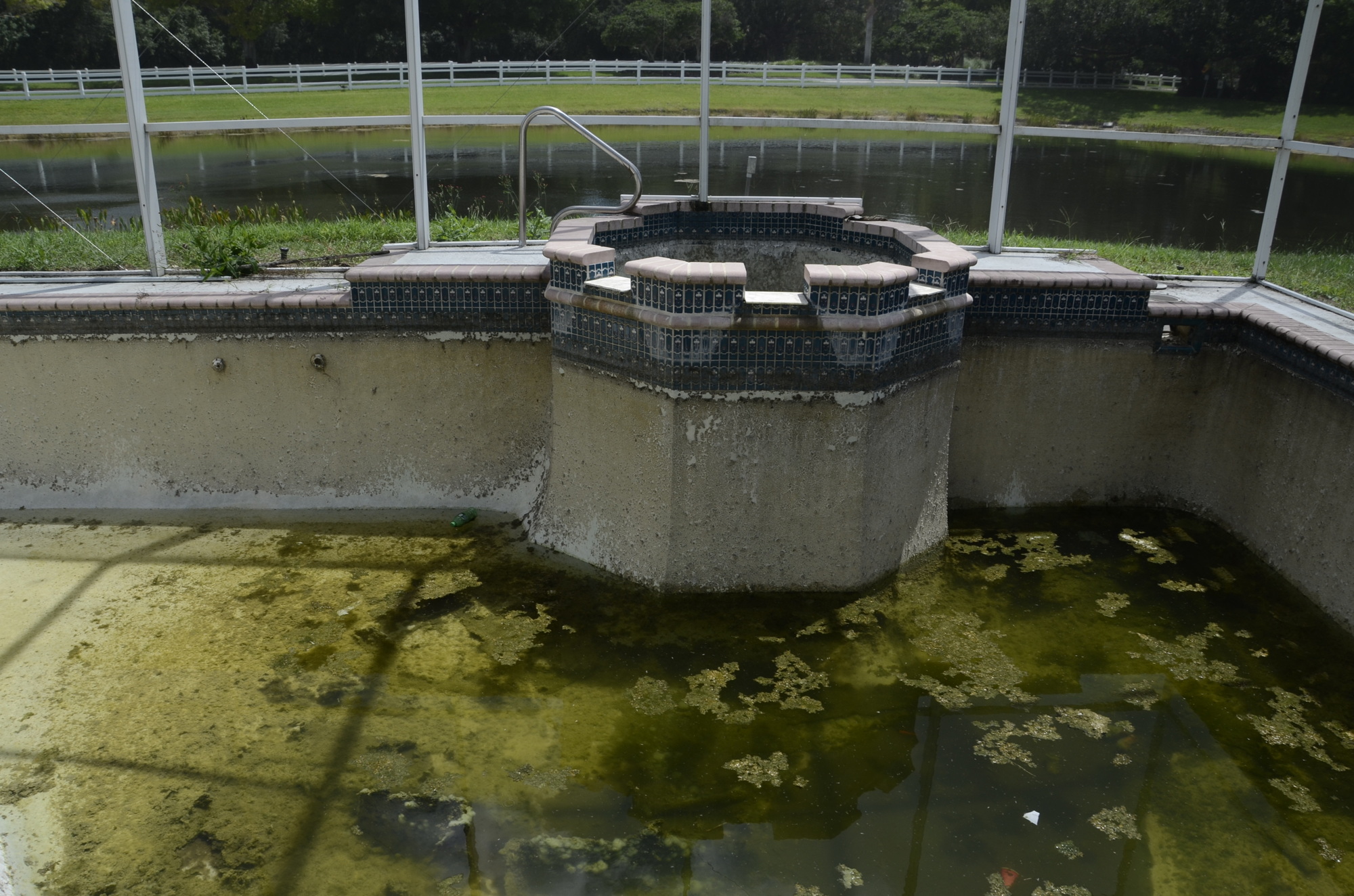Algae-filled water stands in the pool, which overlooks the lake.