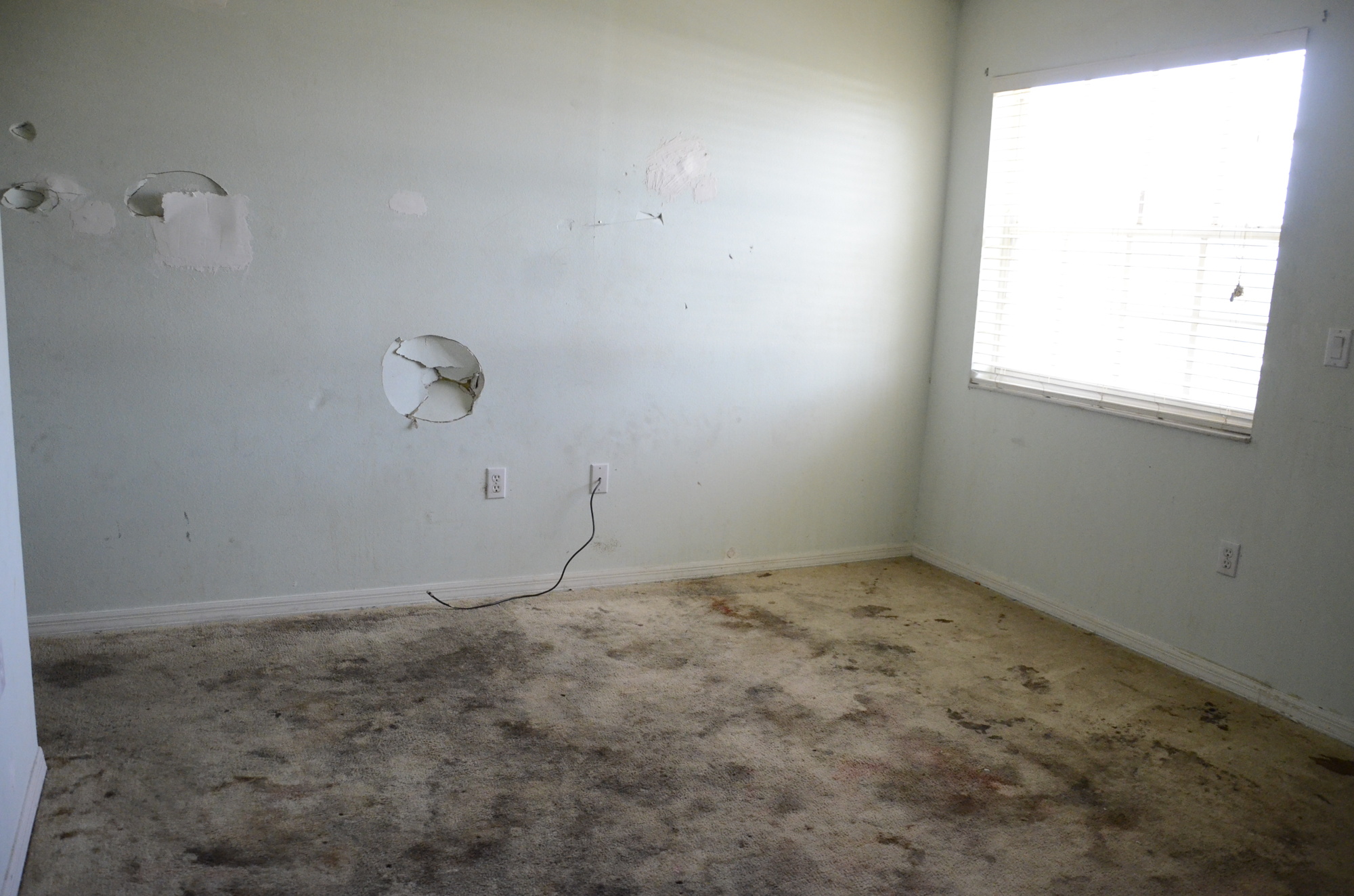 The carpet throughout the house is covered in a myriad of stains. Upstairs, large holes have been punched into the bedrooms, and the doors were ripped of the hinges.